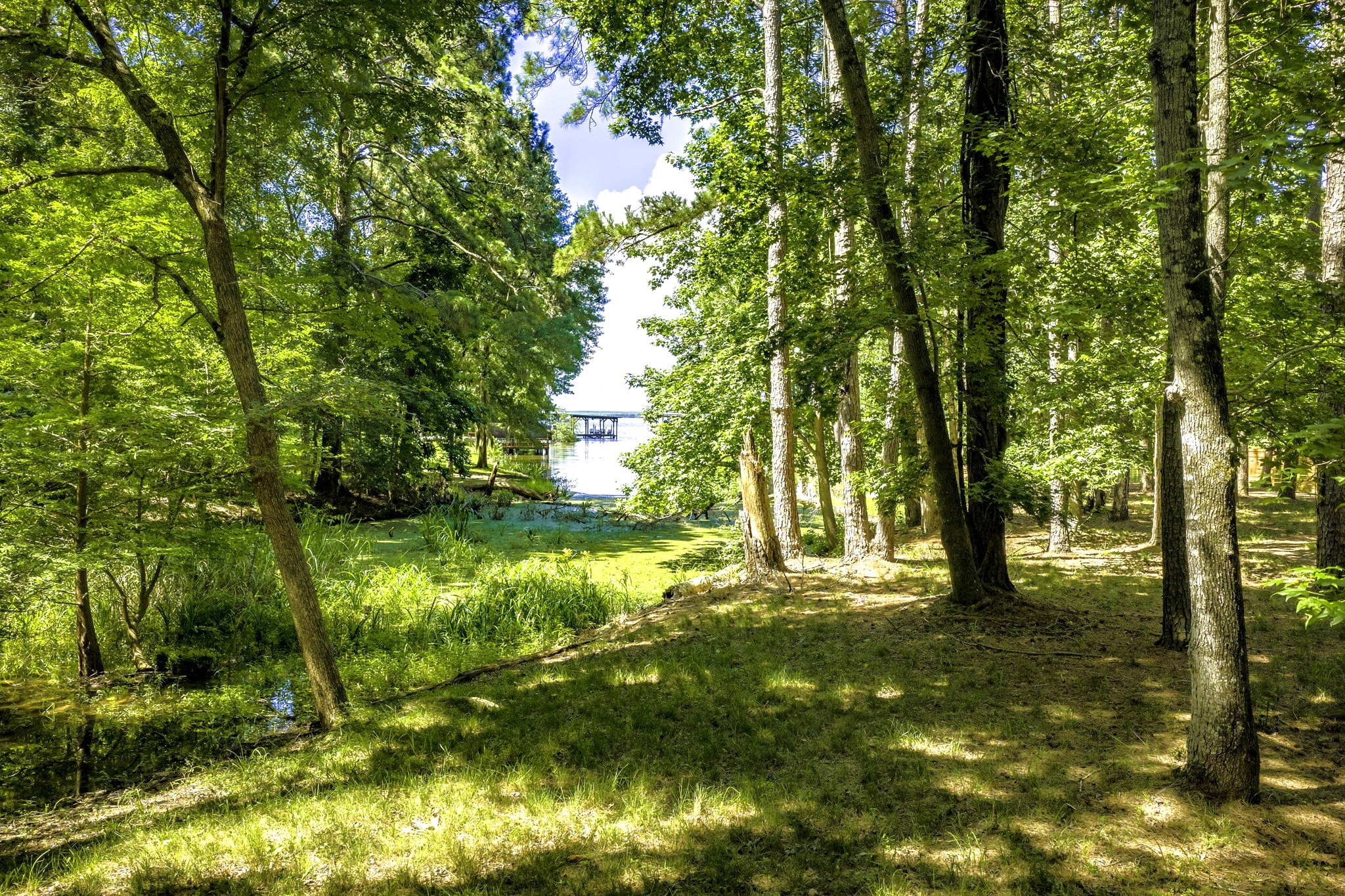 Tbd Pine Circle Property Photo 12