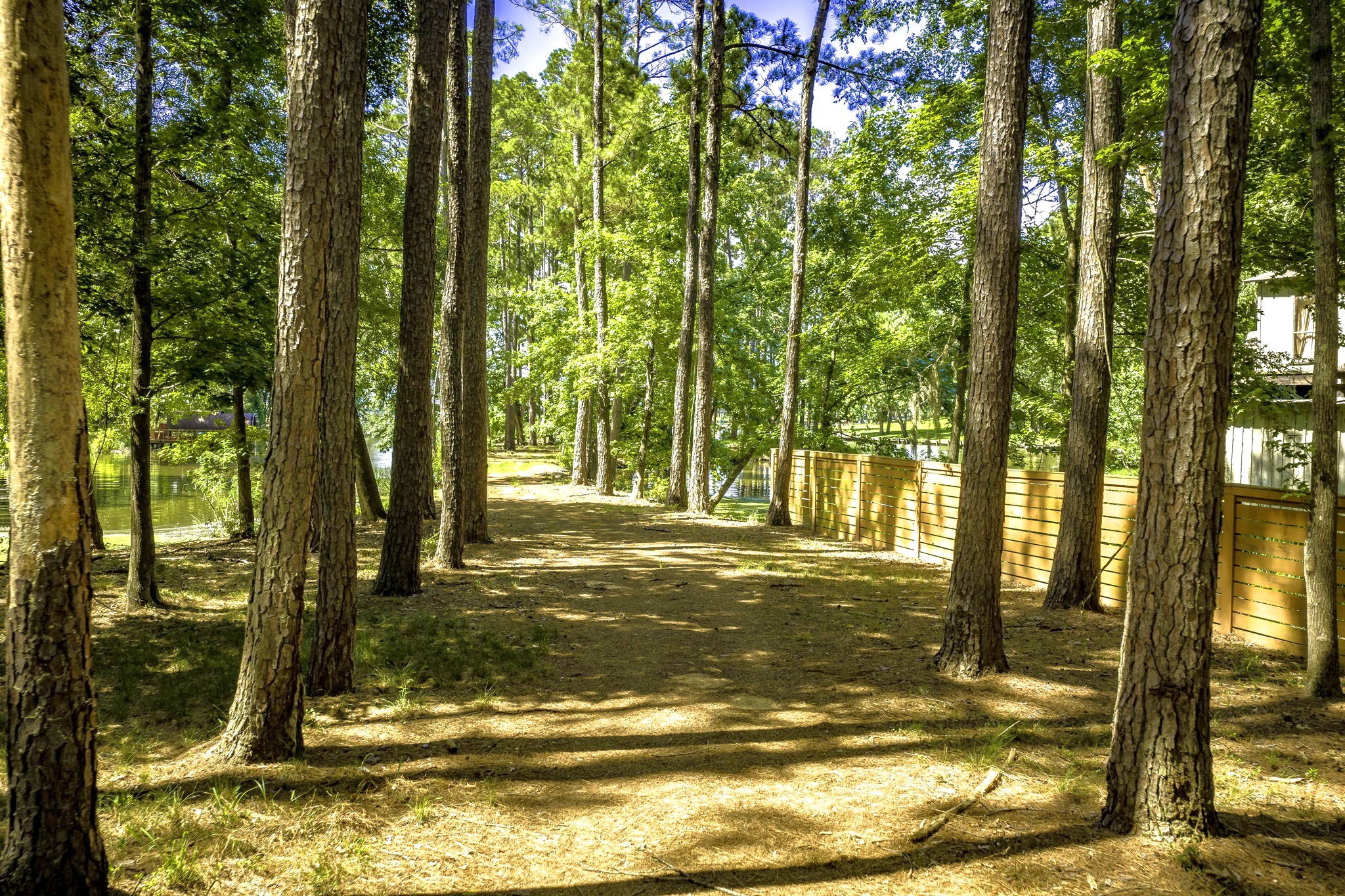 Tbd Pine Circle Property Photo 13