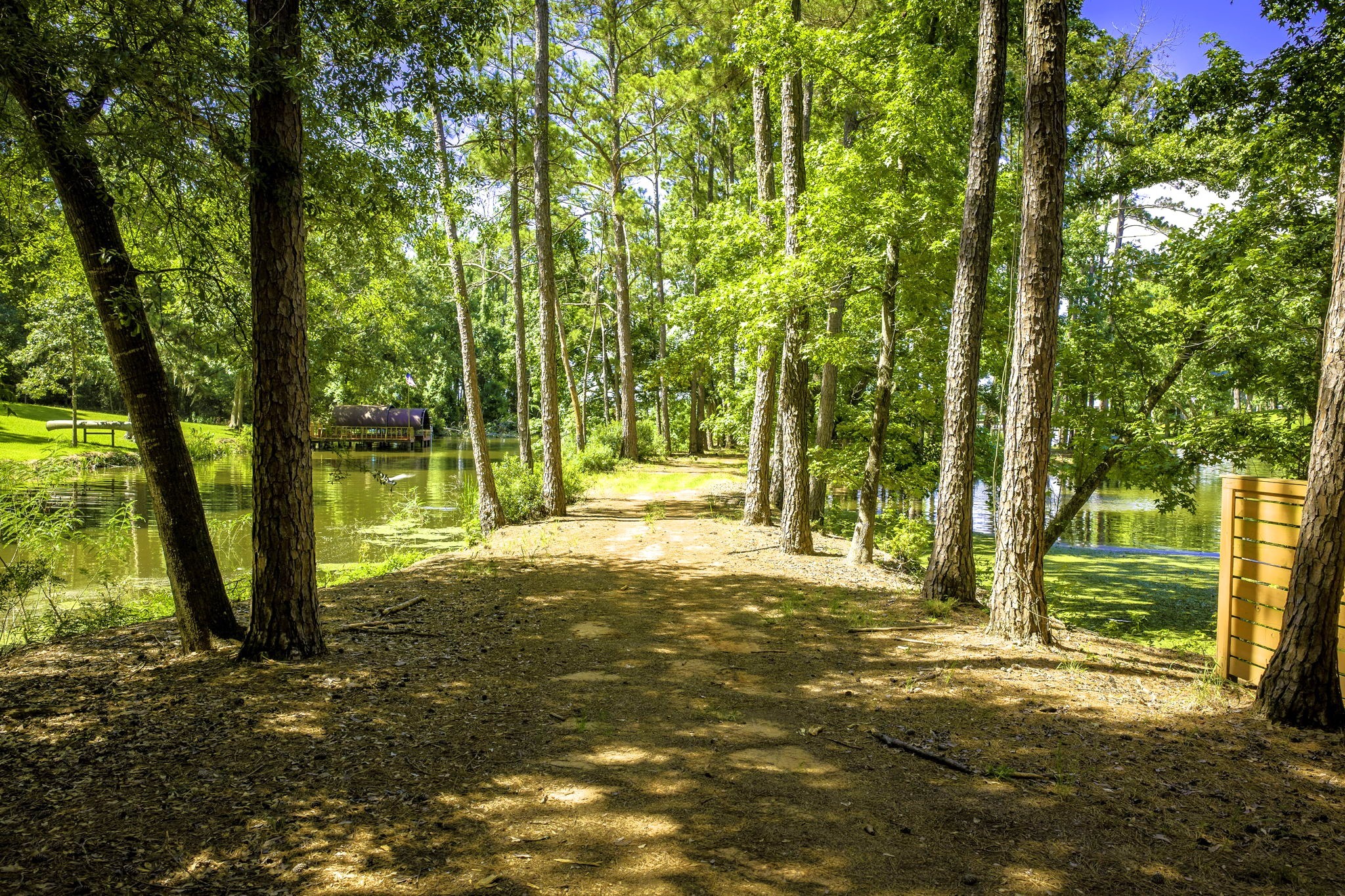 Tbd Pine Circle Property Photo 14