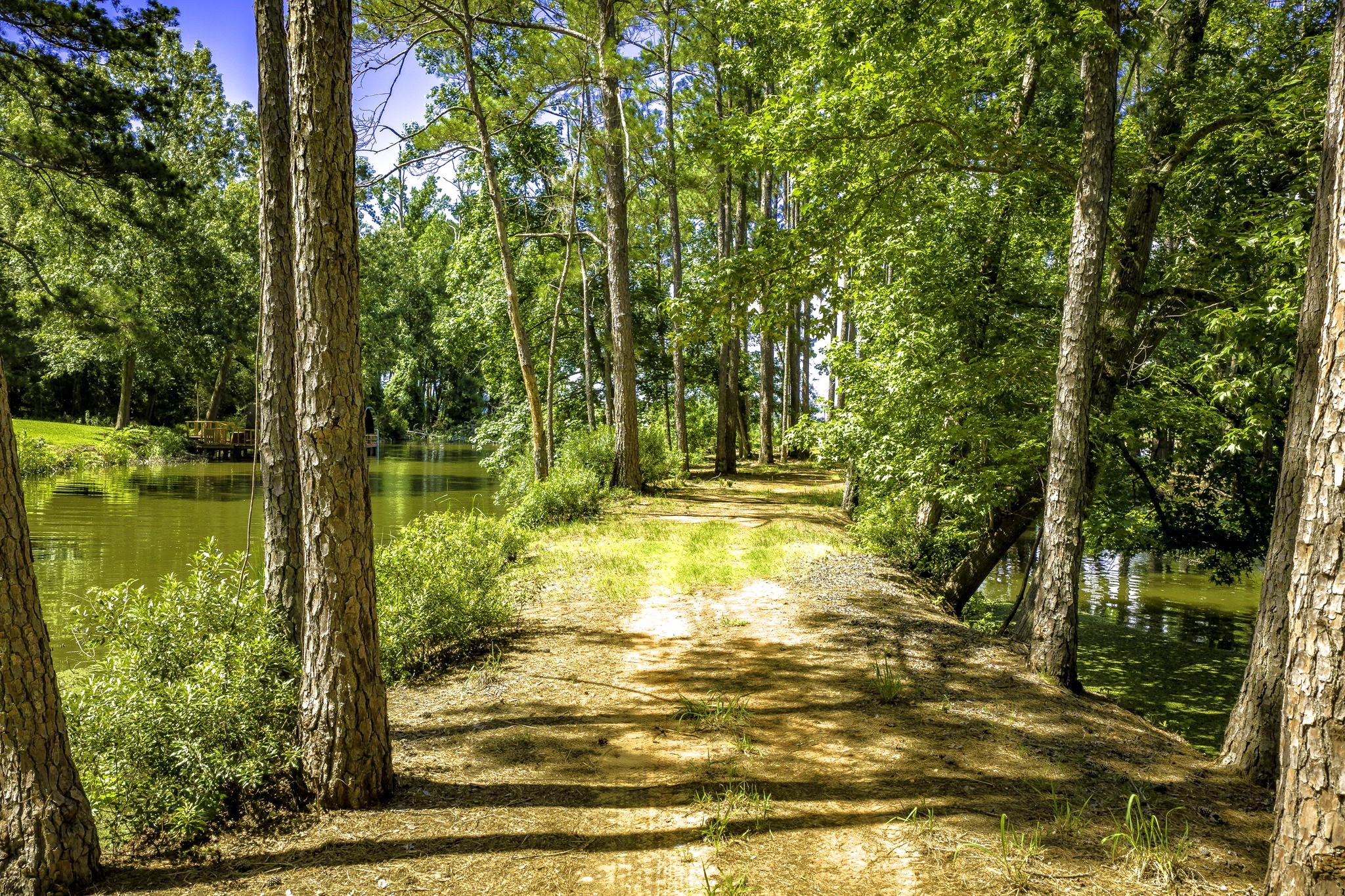 Tbd Pine Circle Property Photo 15