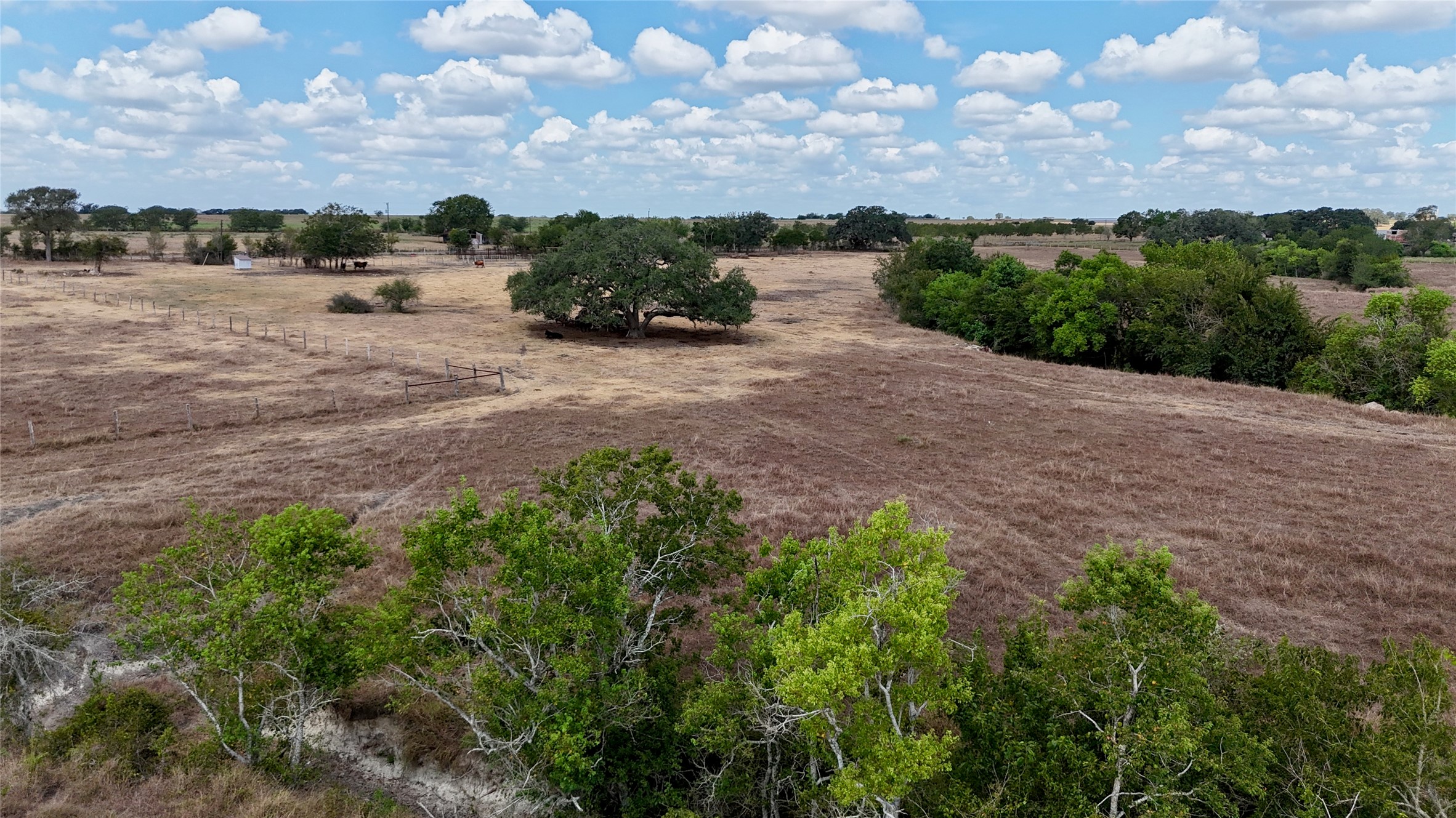 Tract 3 County Road 366 Property Photo 1