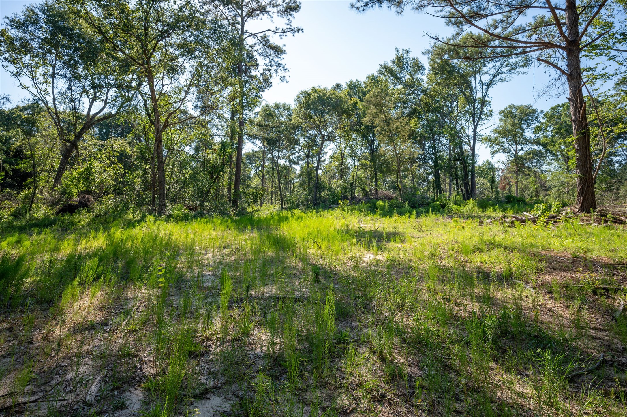 Tbd Cr 3000 Property Photo
