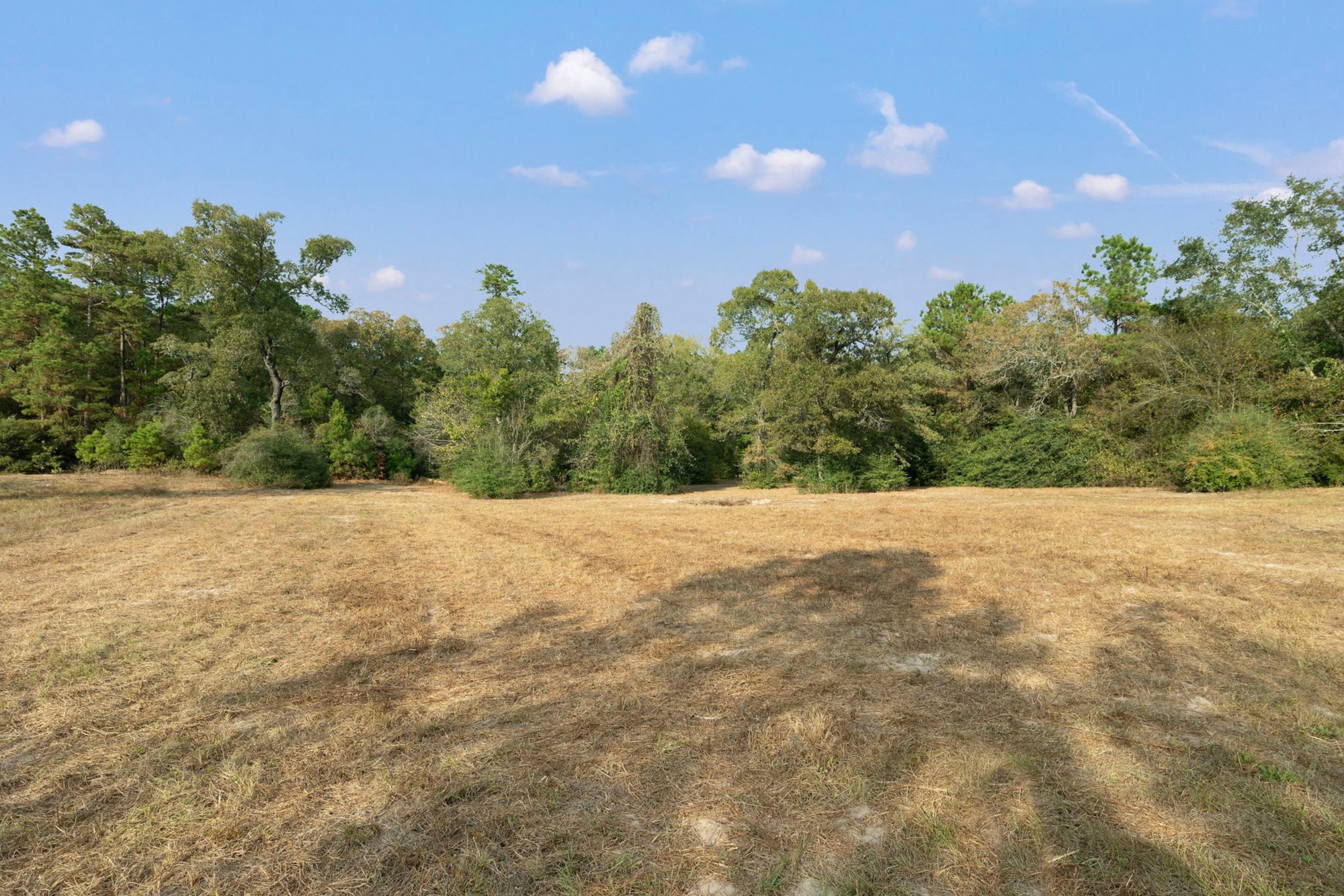 6493 Pappas Road Property Photo 30