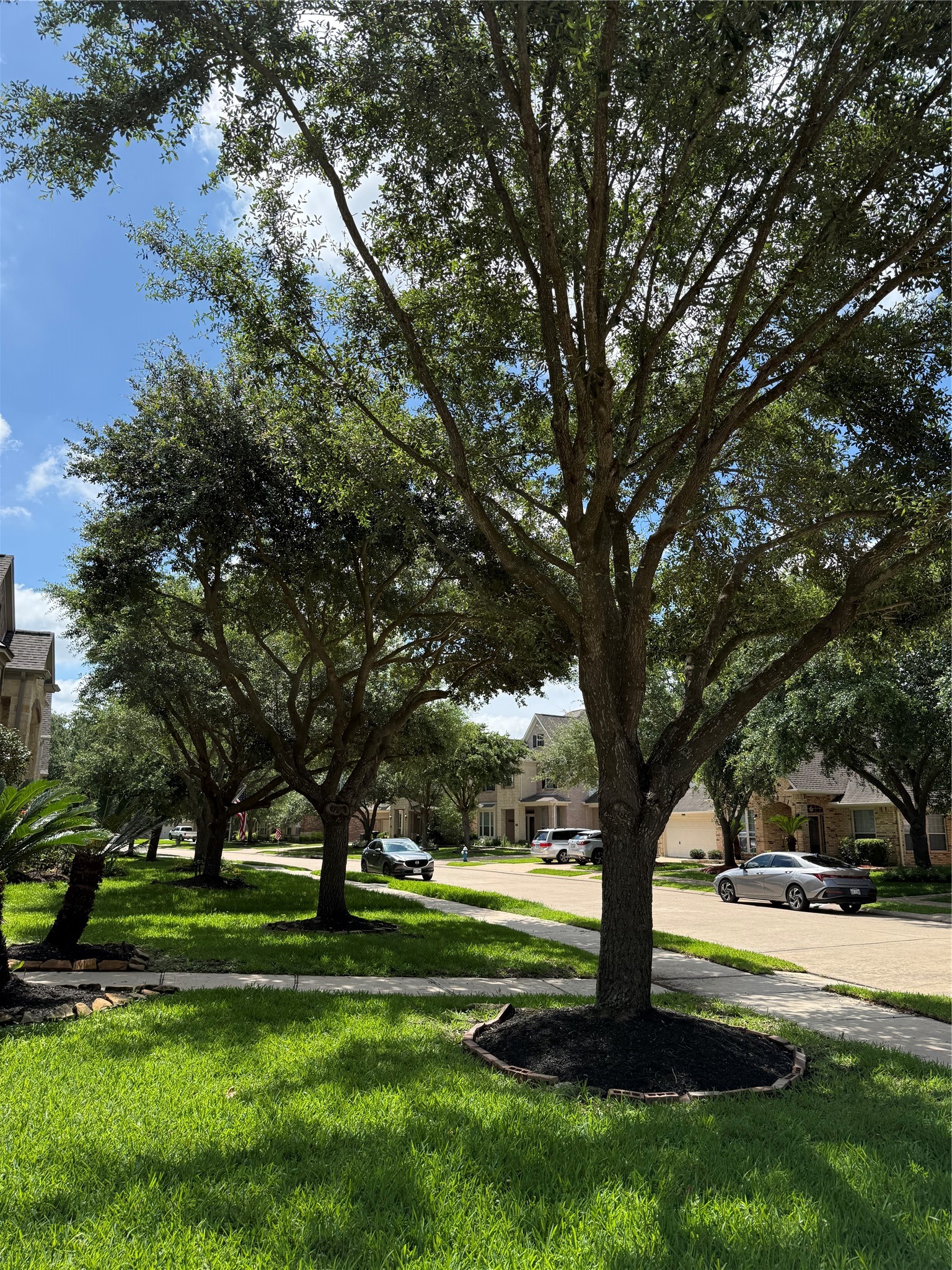 26618 Boulder Cove Court Property Photo 2