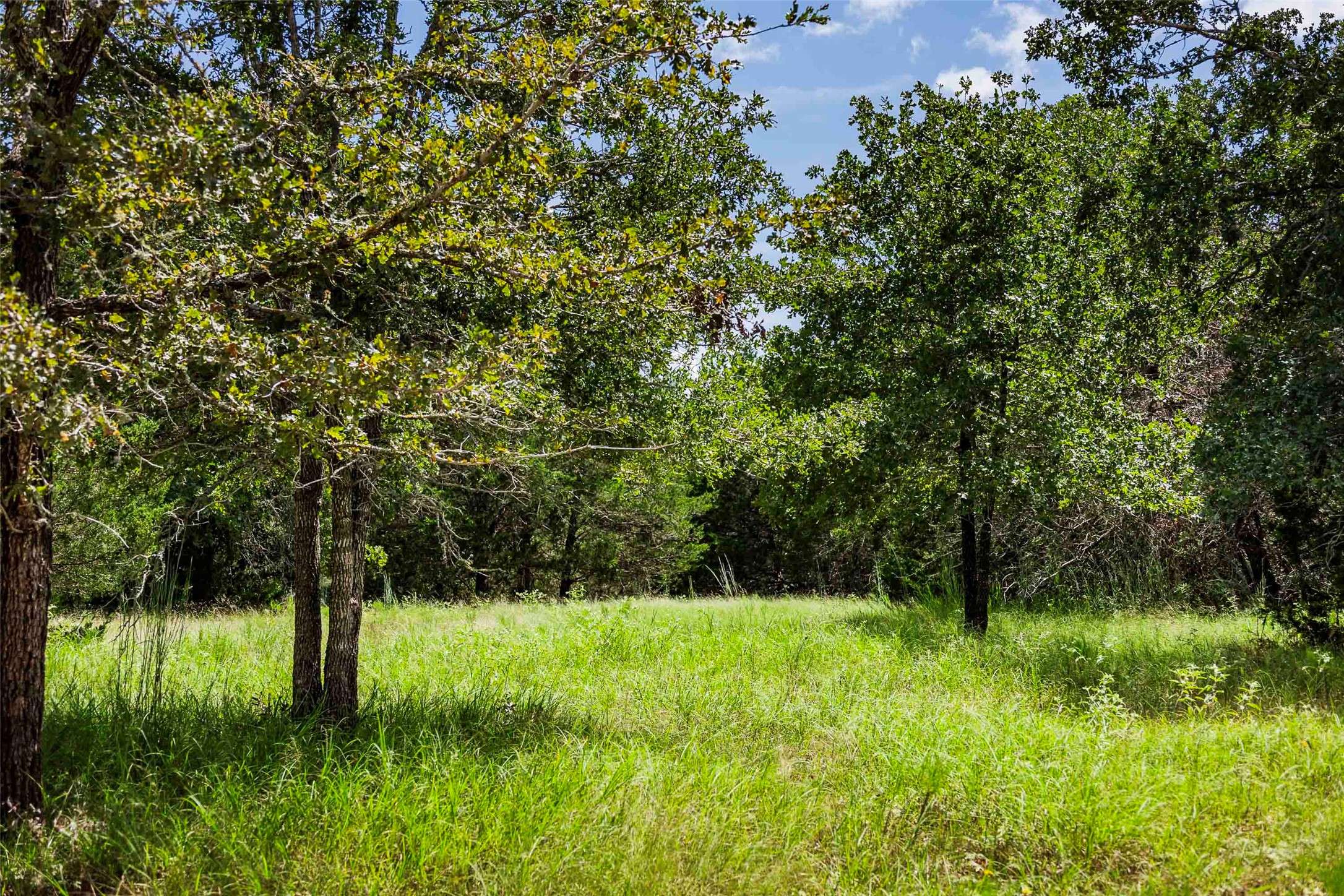 1400 Fm 535 Property Photo 22