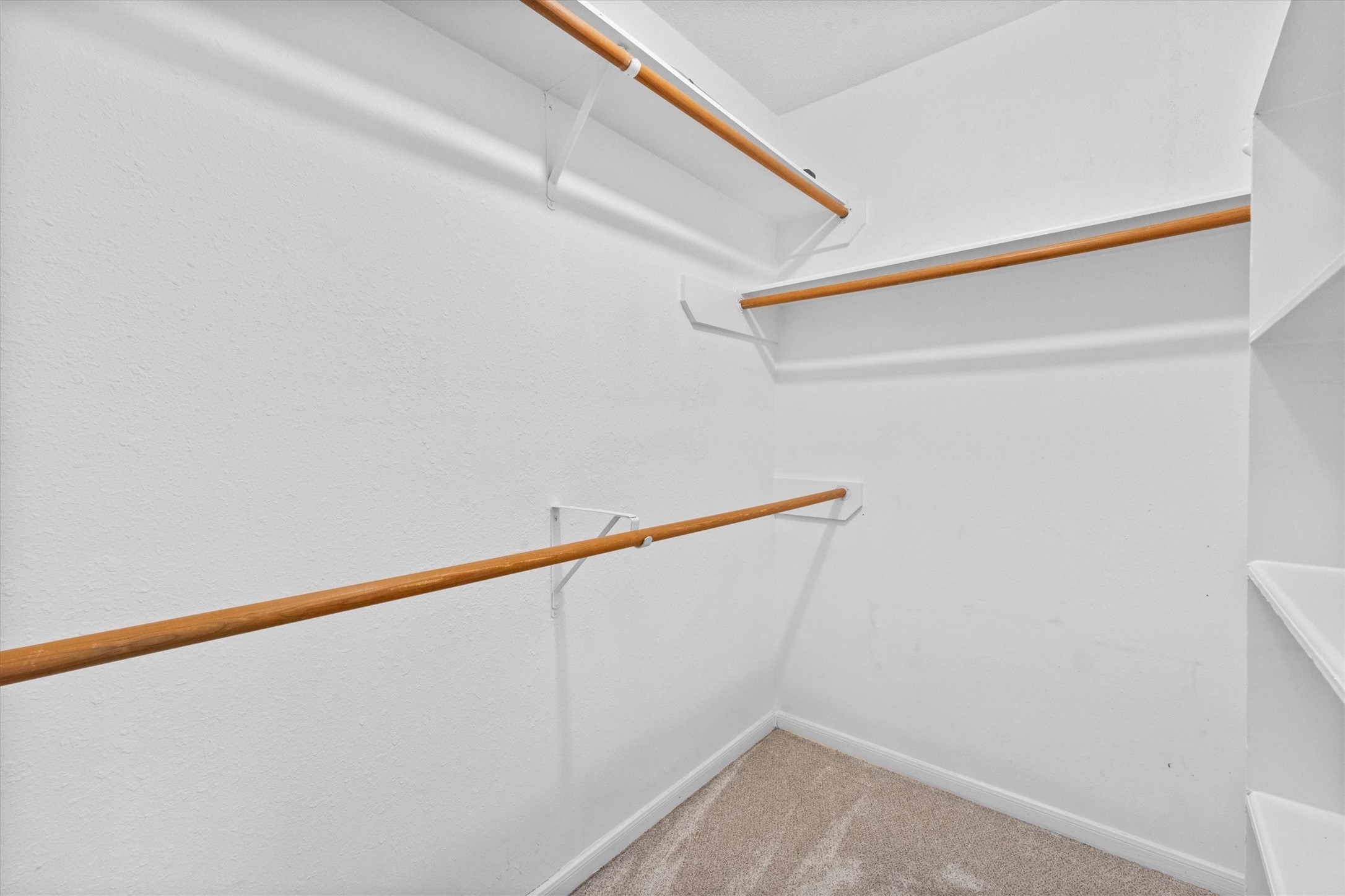179 Sylvan Forest Drive Property Photo 32