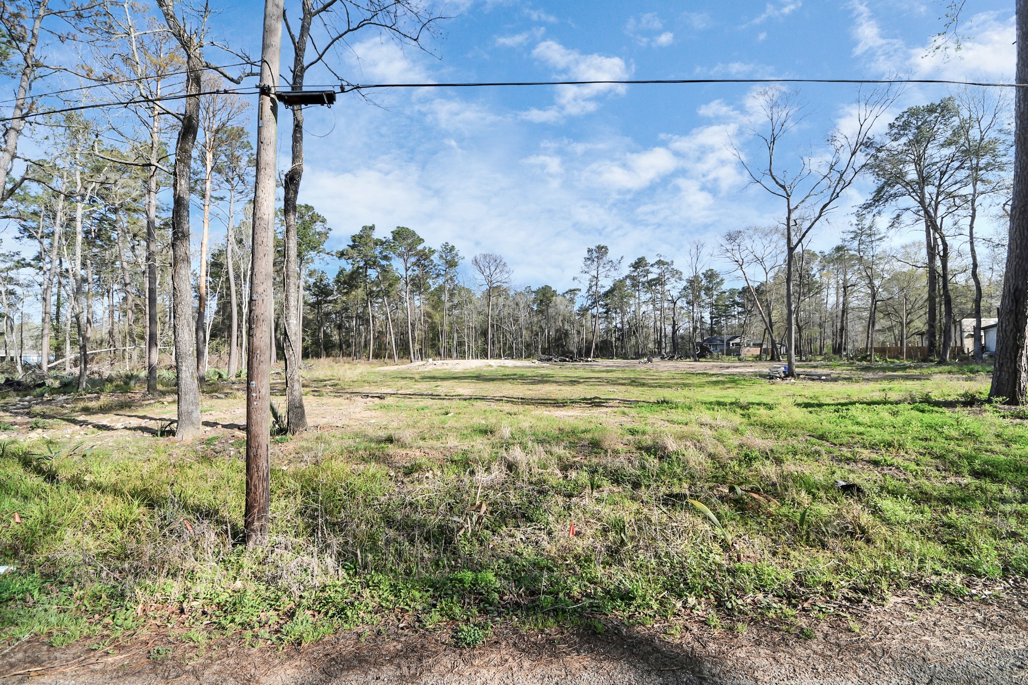 16915 Payne Road Property Photo 4