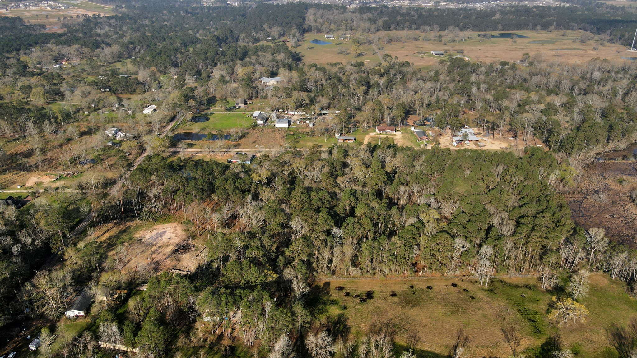 16915 Payne Road Property Photo 11