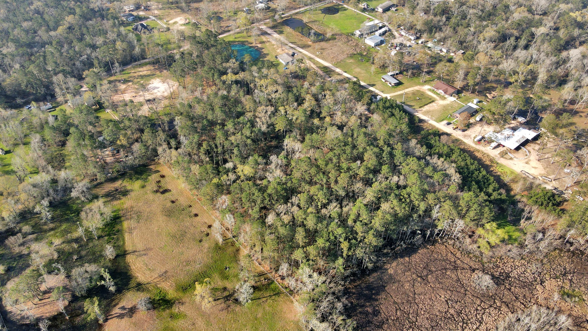 16915 Payne Road Property Photo 18