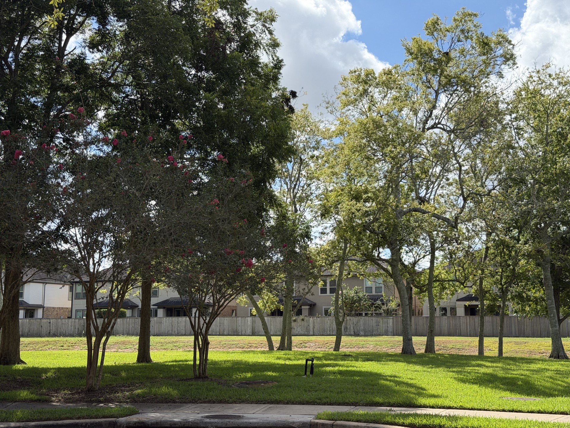 9607 Waters Lake Court Property Photo 28