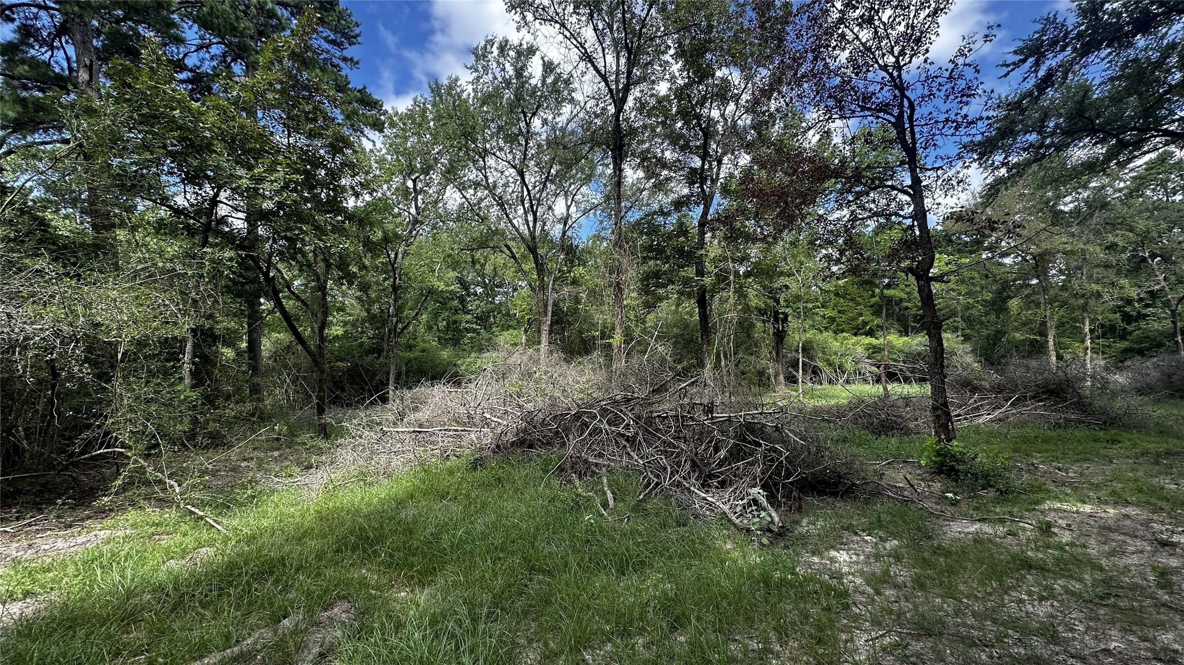 7103 Fm 3178 Property Photo 4