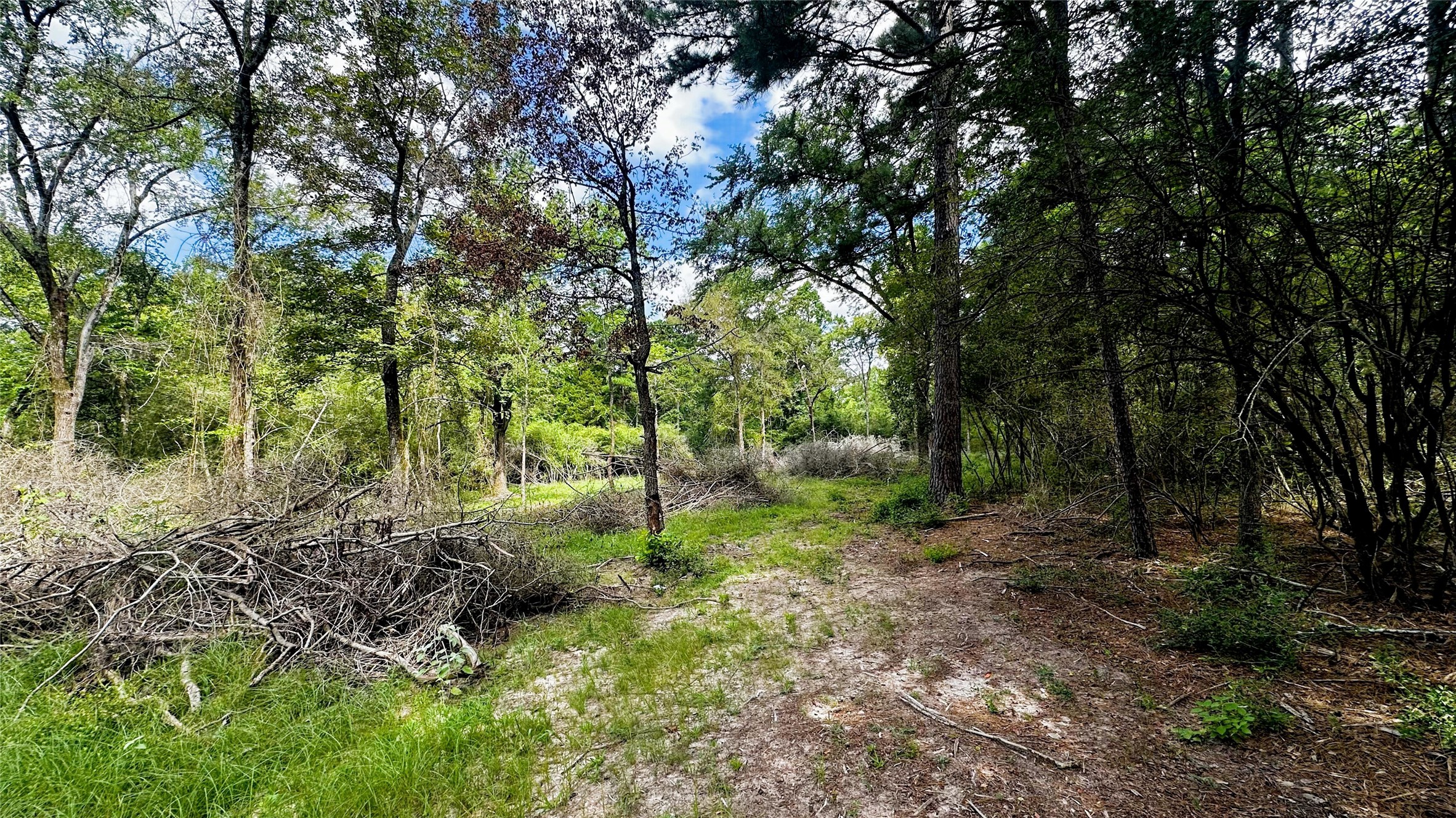 7103 Fm 3178 Property Photo 5