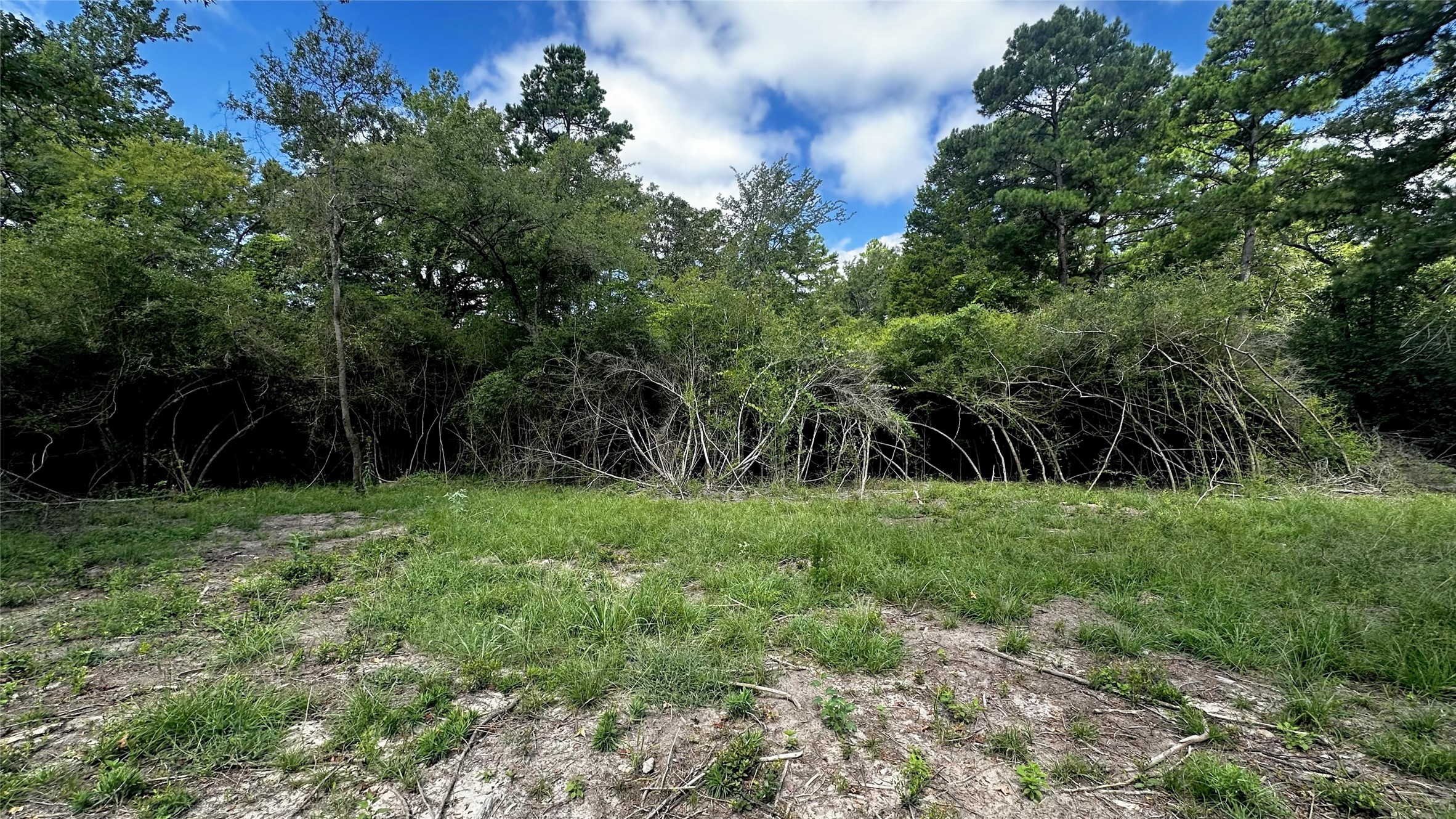 7103 Fm 3178 Property Photo 6