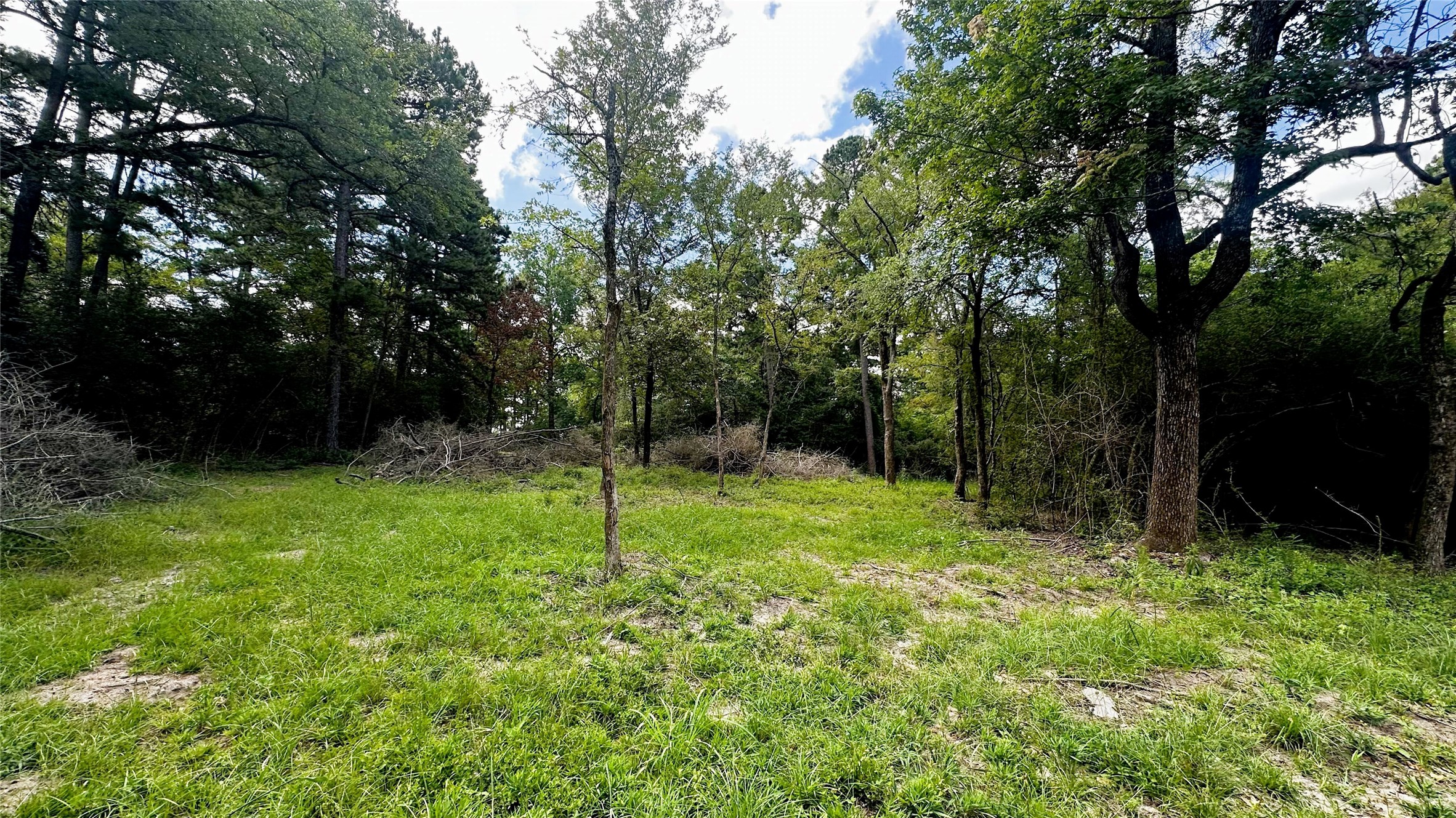 7103 Fm 3178 Property Photo 7