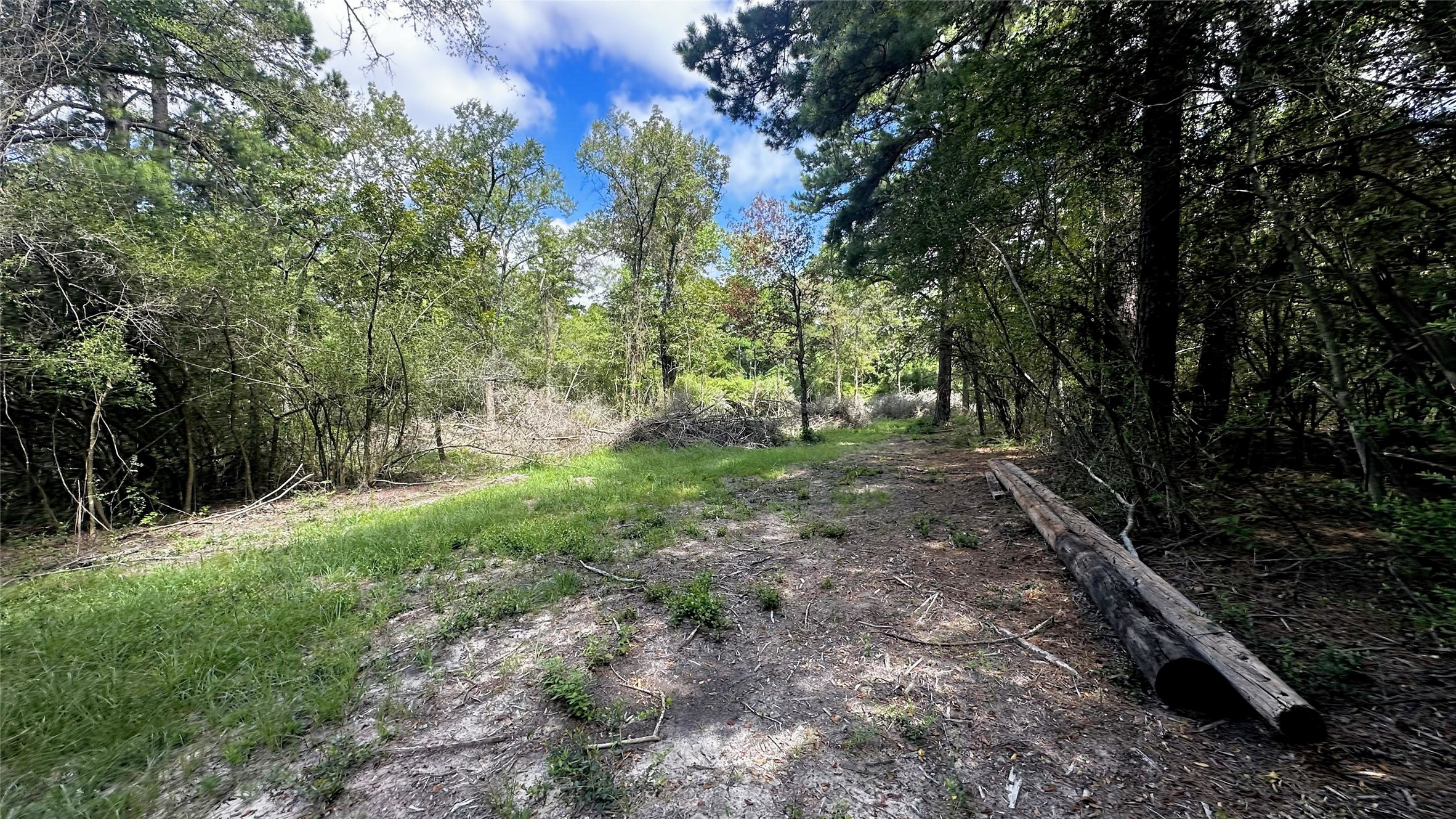7103 Fm 3178 Property Photo 8