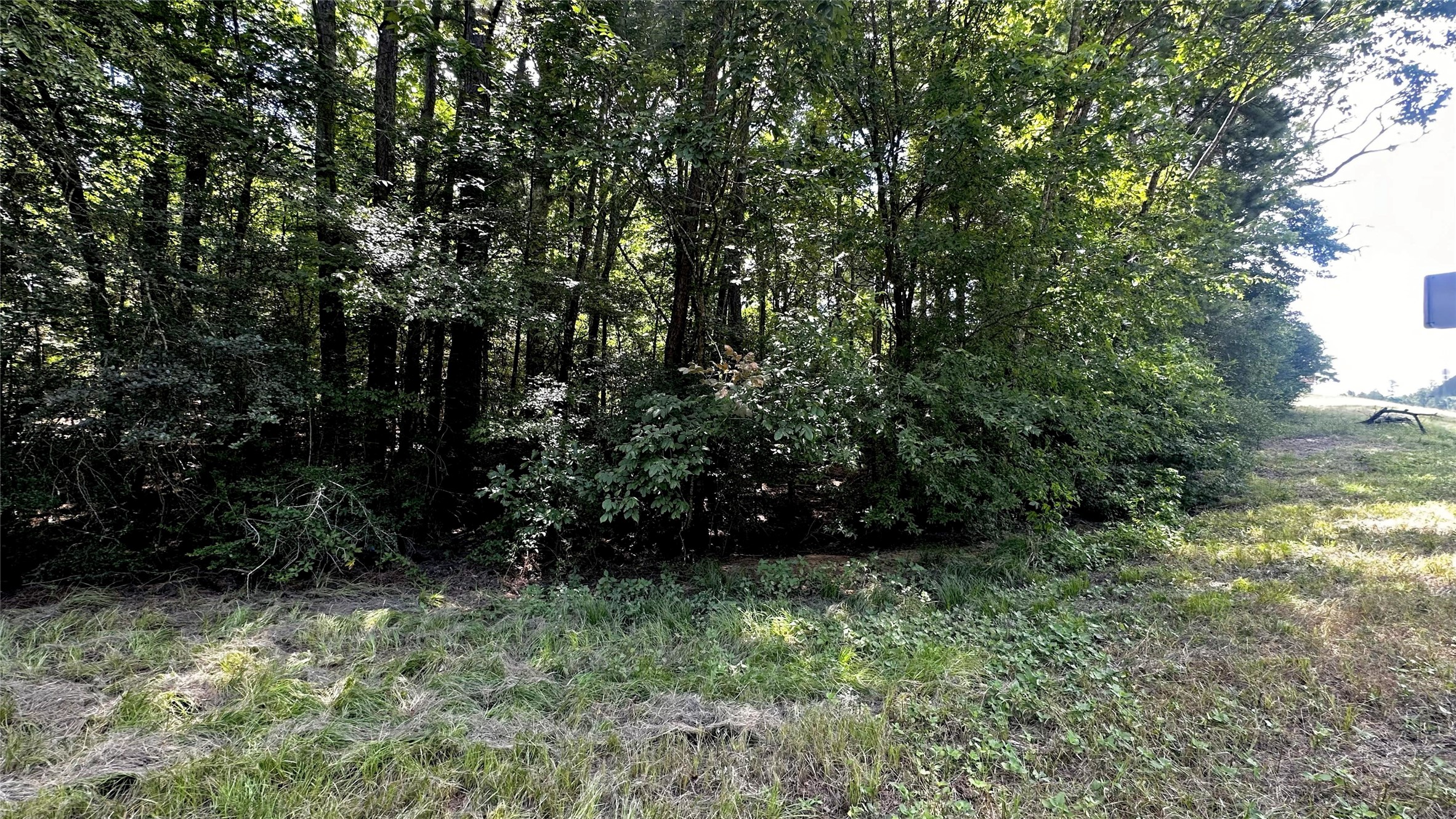 7103 Fm 3178 Property Photo 14