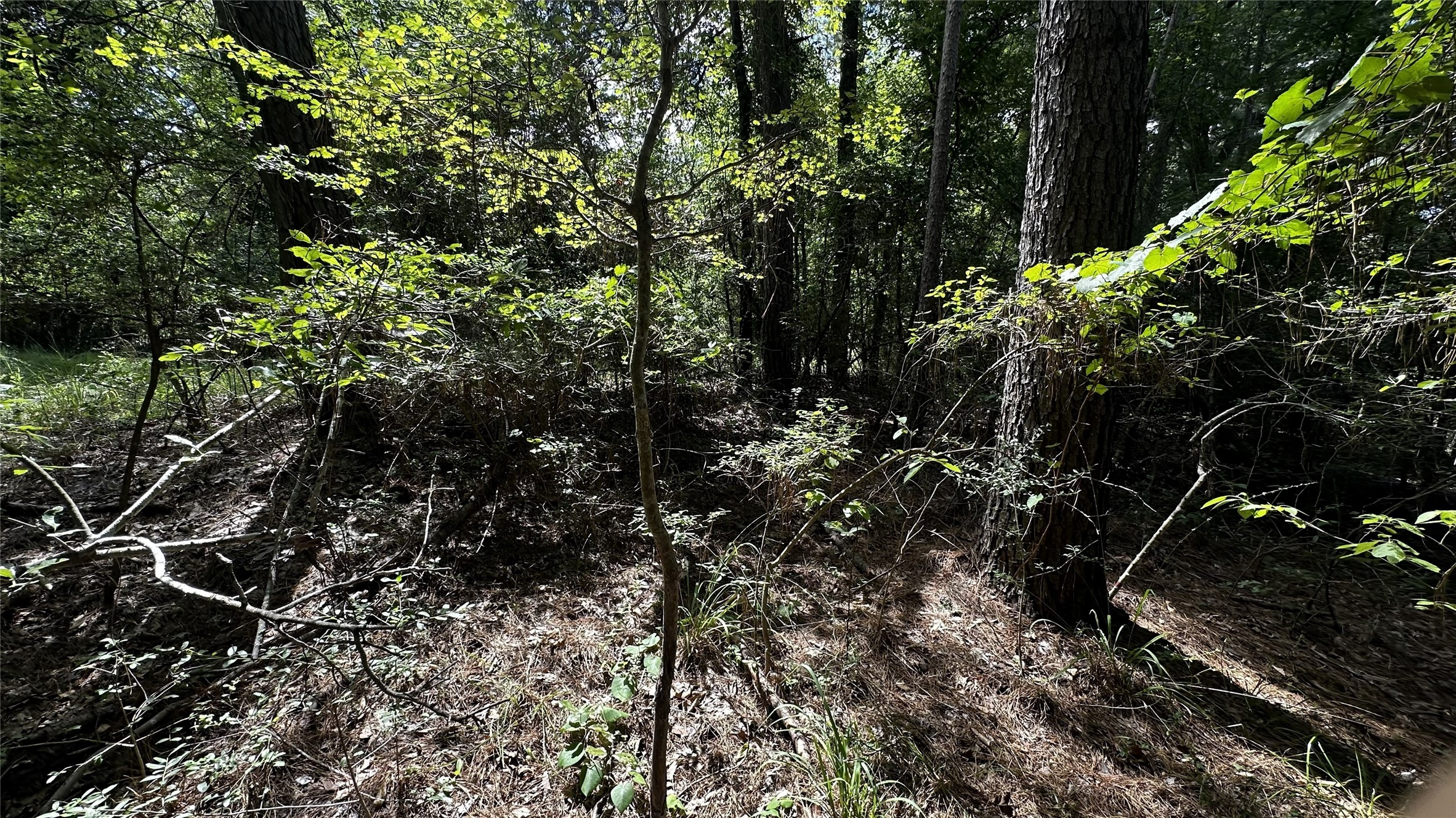 7103 Fm 3178 Property Photo 17