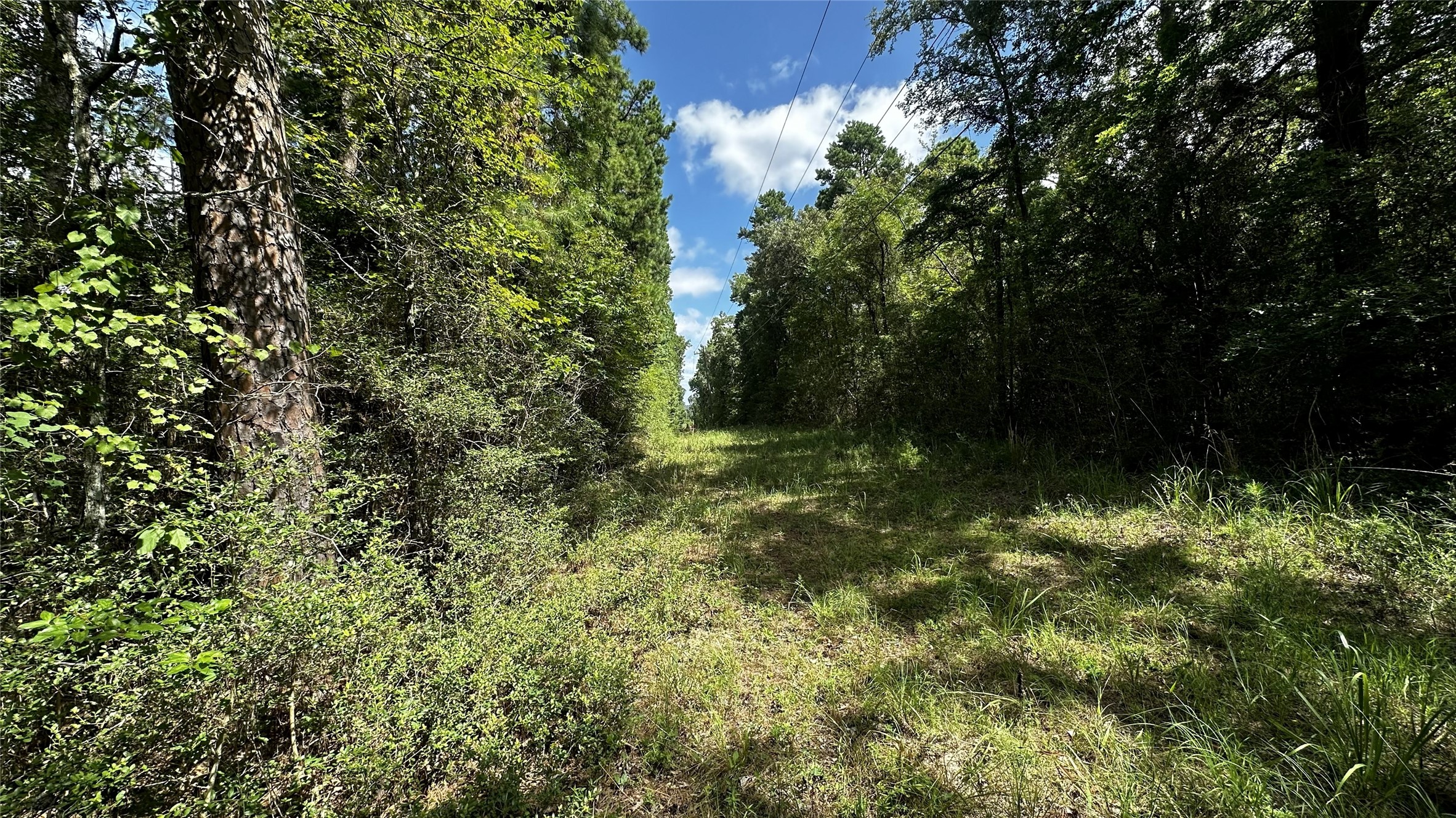 7103 Fm 3178 Property Photo 18