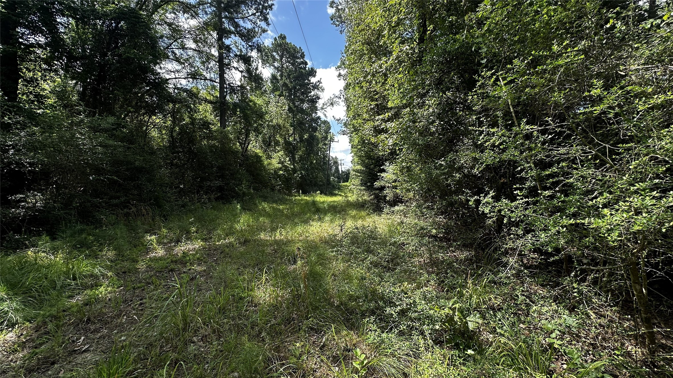 7103 Fm 3178 Property Photo 19
