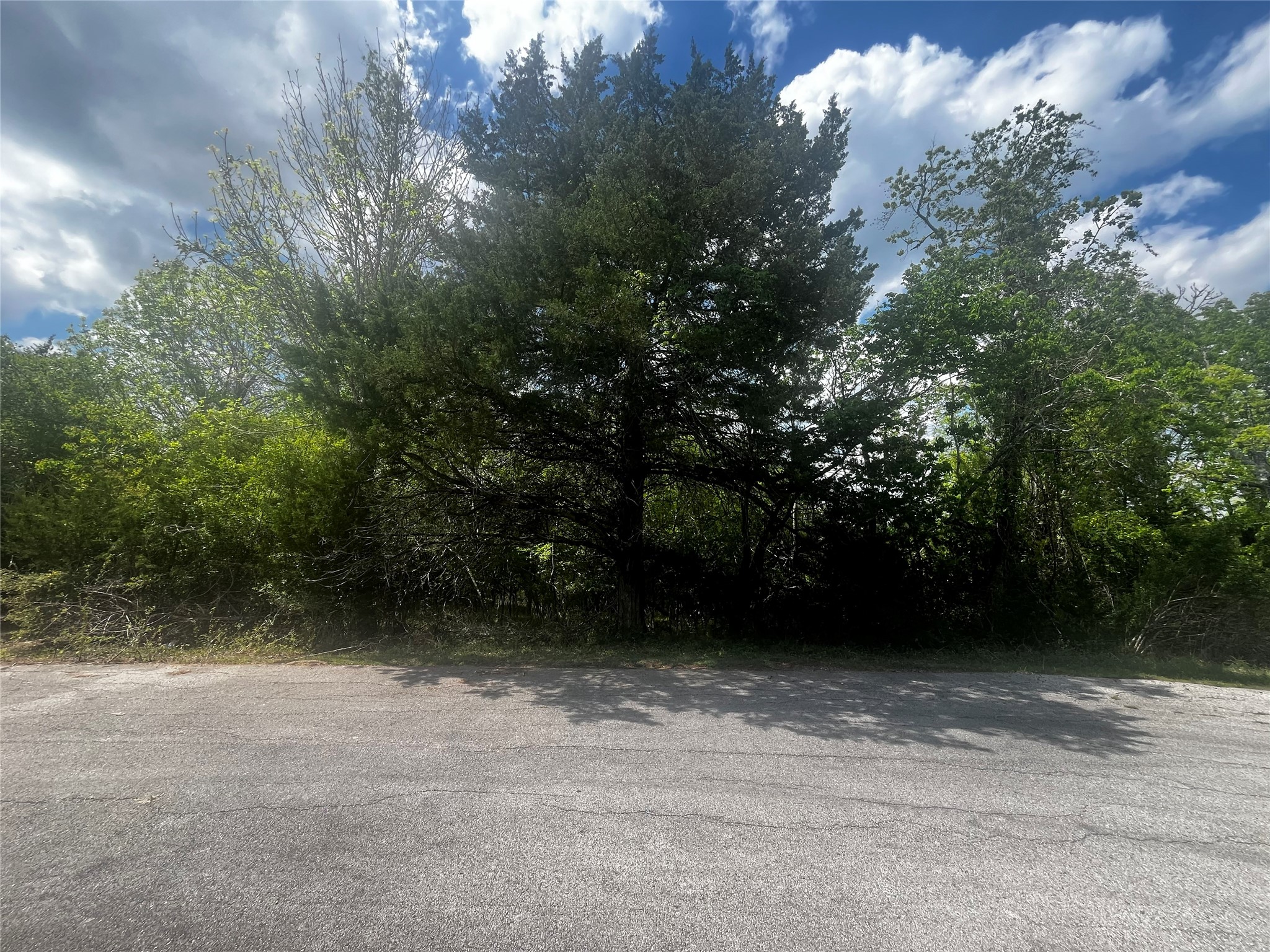 51 Timber Cove Lane Property Photo 1