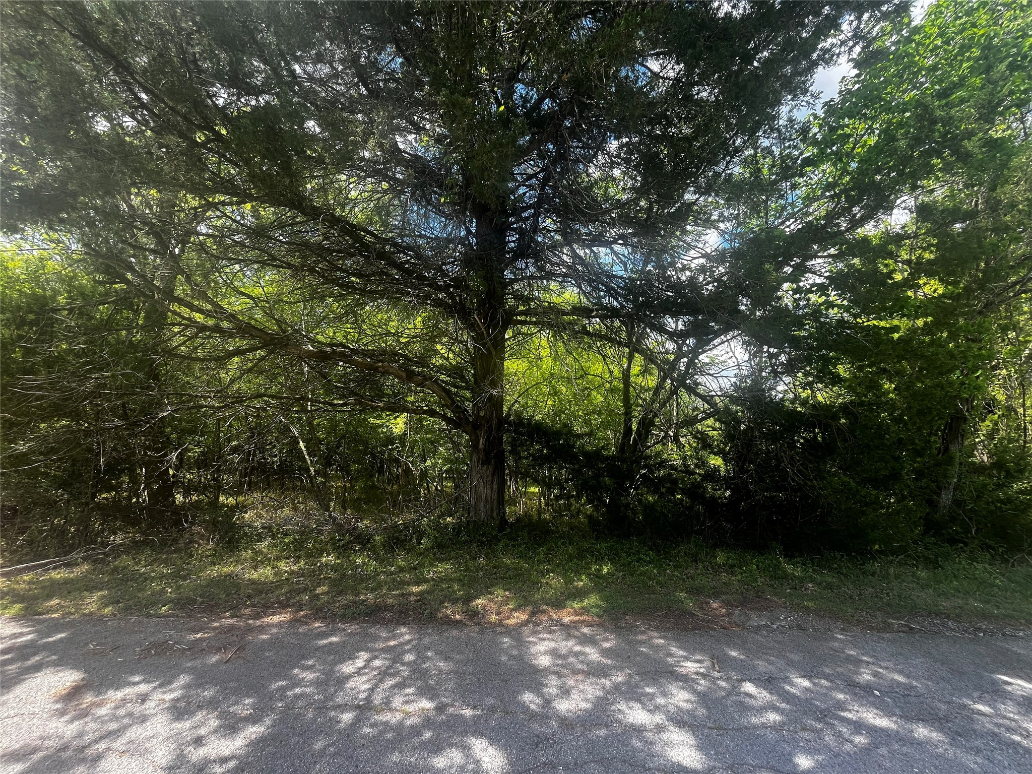 51 Timber Cove Lane Property Photo 2