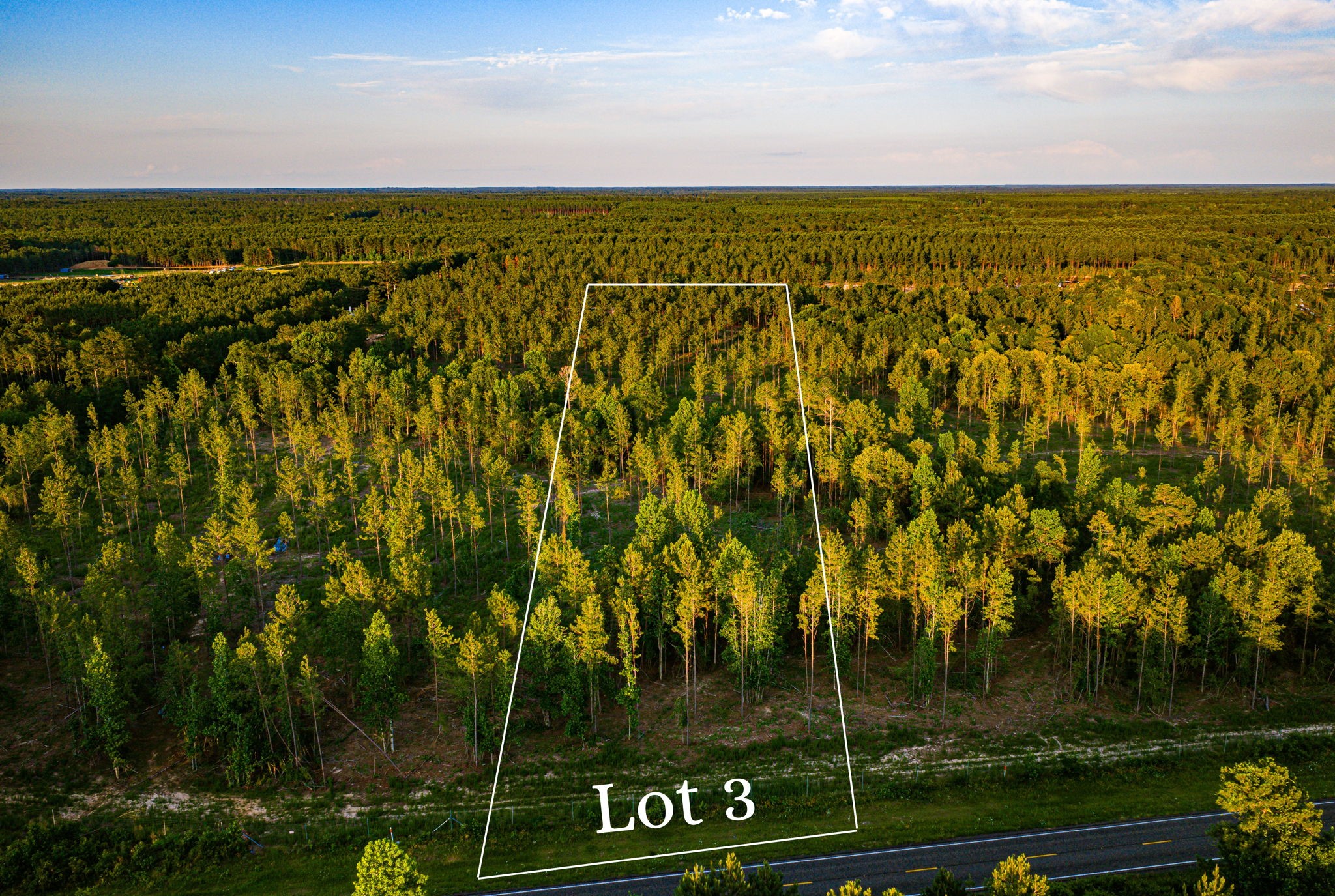 Tbd Lot 3 Fm 1276 Property Photo 1