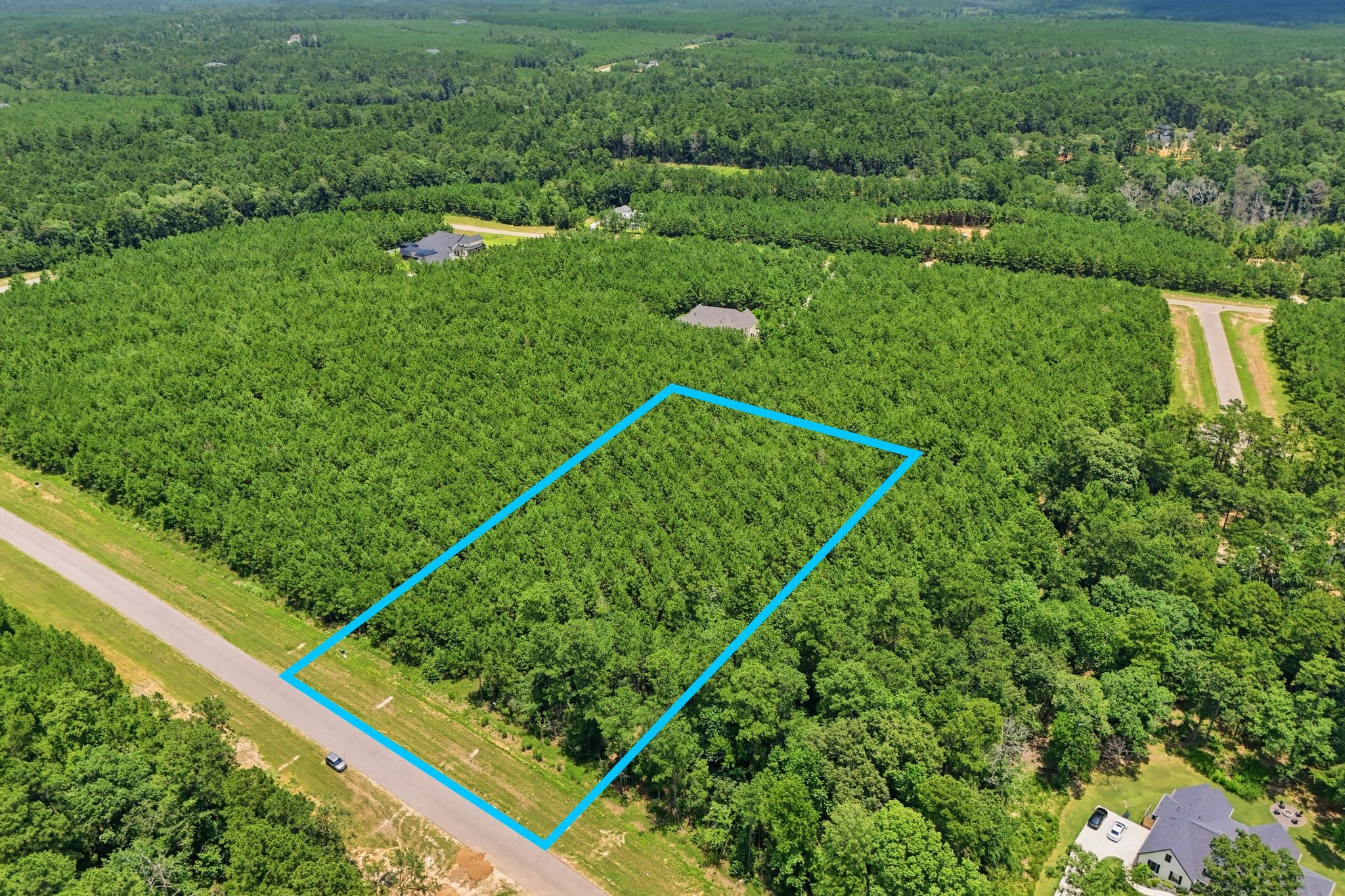 16222 Ridge Oak Road Property Photo 6