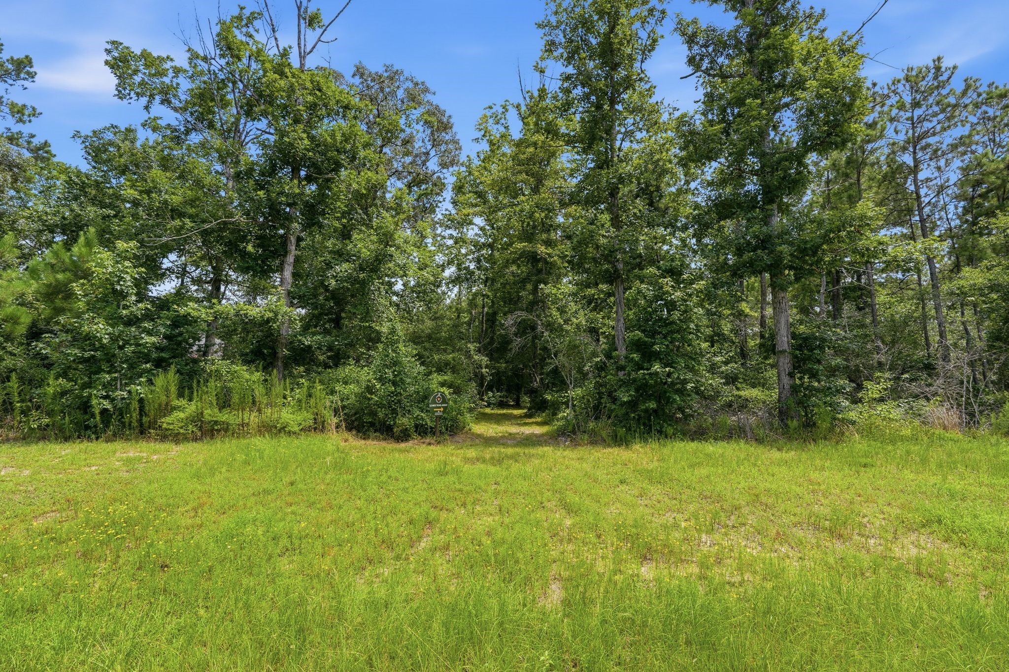 16222 Ridge Oak Road Property Photo 14