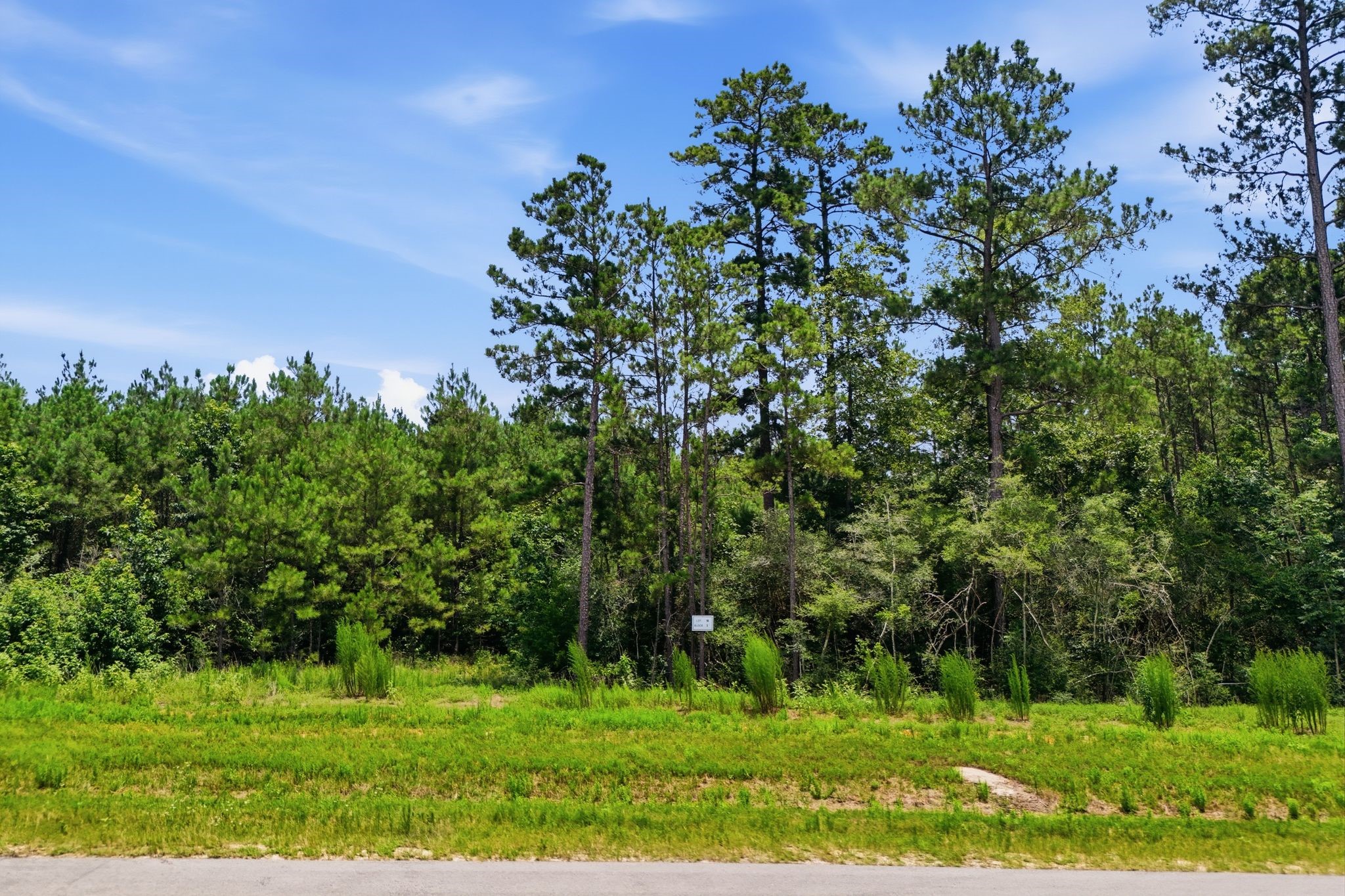 16222 Ridge Oak Road Property Photo 31