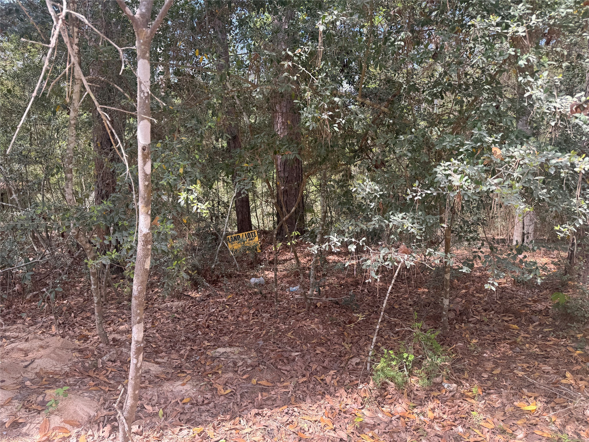 Tbd Big Foot Wallace Trail Property Photo 3