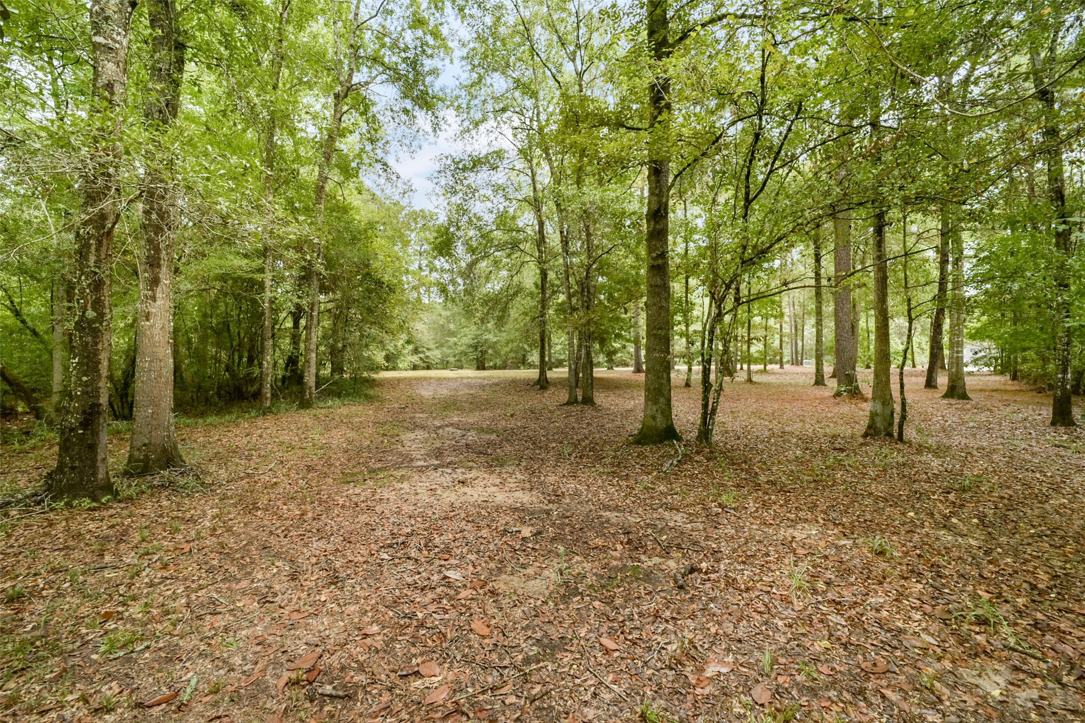 001 & 002 Farmcreek Drive Property Photo 17