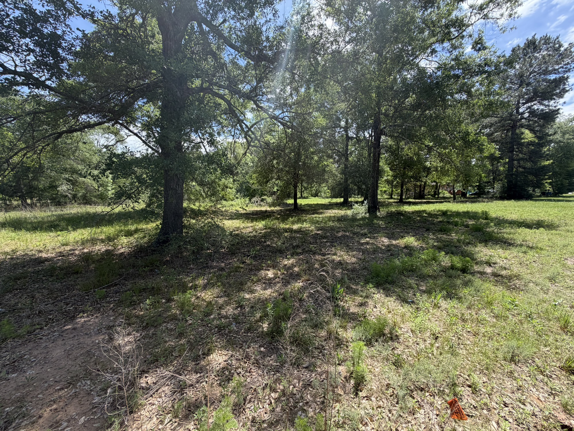 3871 Highline Oaks E Property Photo 3