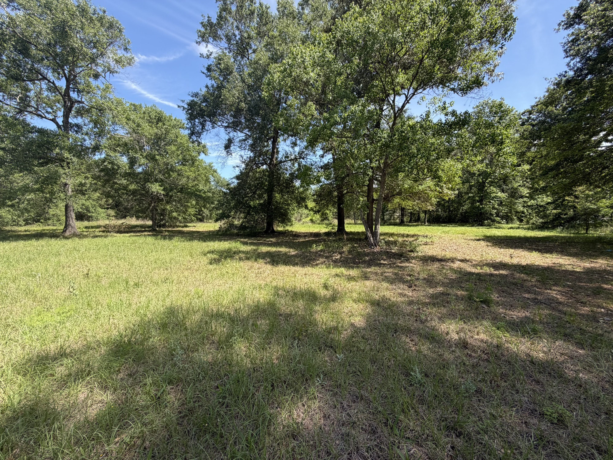 3871 Highline Oaks E Property Photo 4