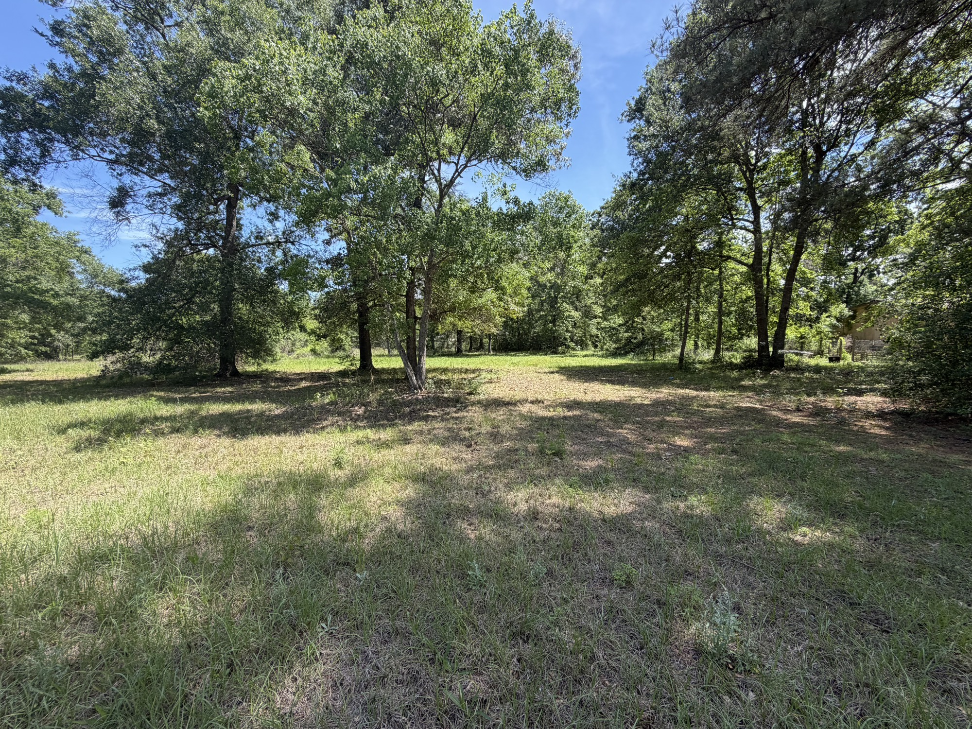 3871 Highline Oaks E Property Photo 6