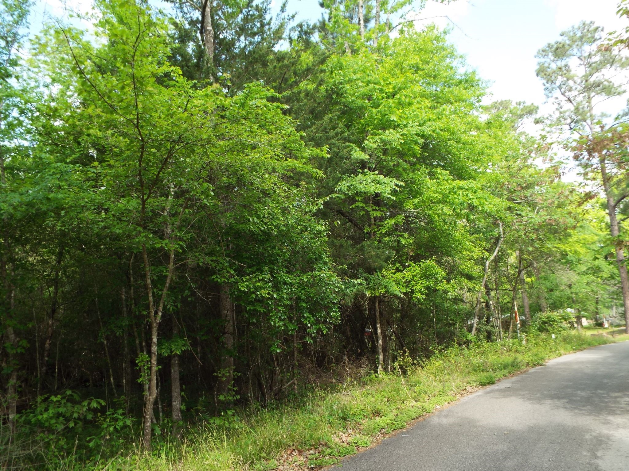 Lot 34 Dogwood Road Property Photo 4