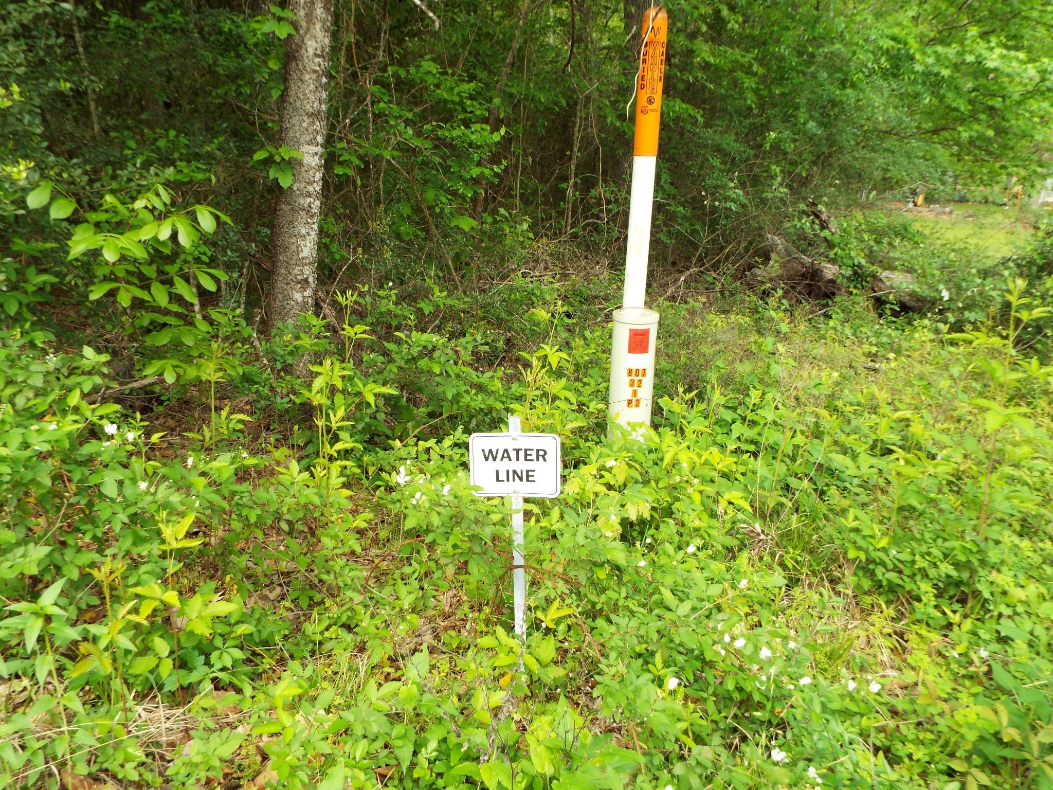 Lot 34 Dogwood Road Property Photo 7