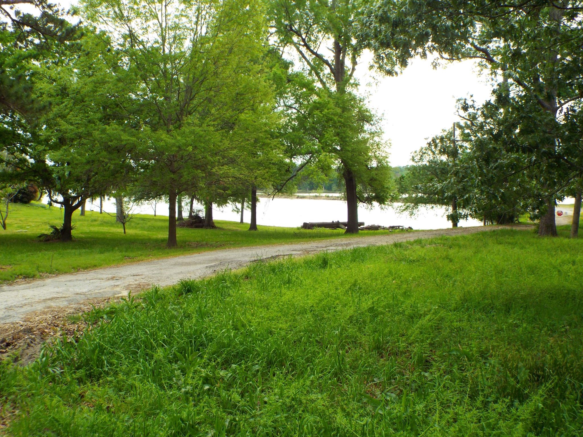 Lot 34 Dogwood Road Property Photo 8