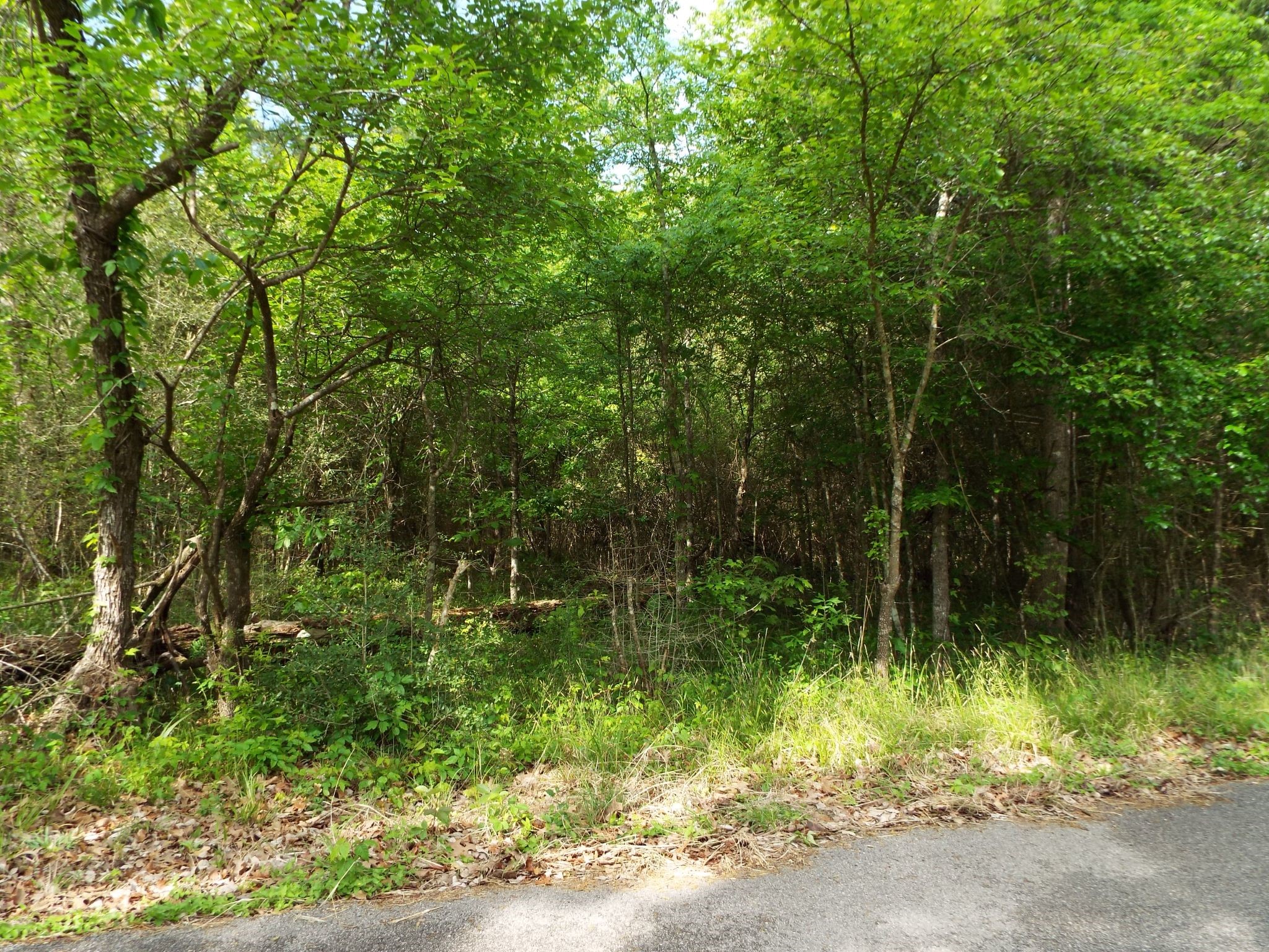 Lot 34 Dogwood Road Property Photo 15