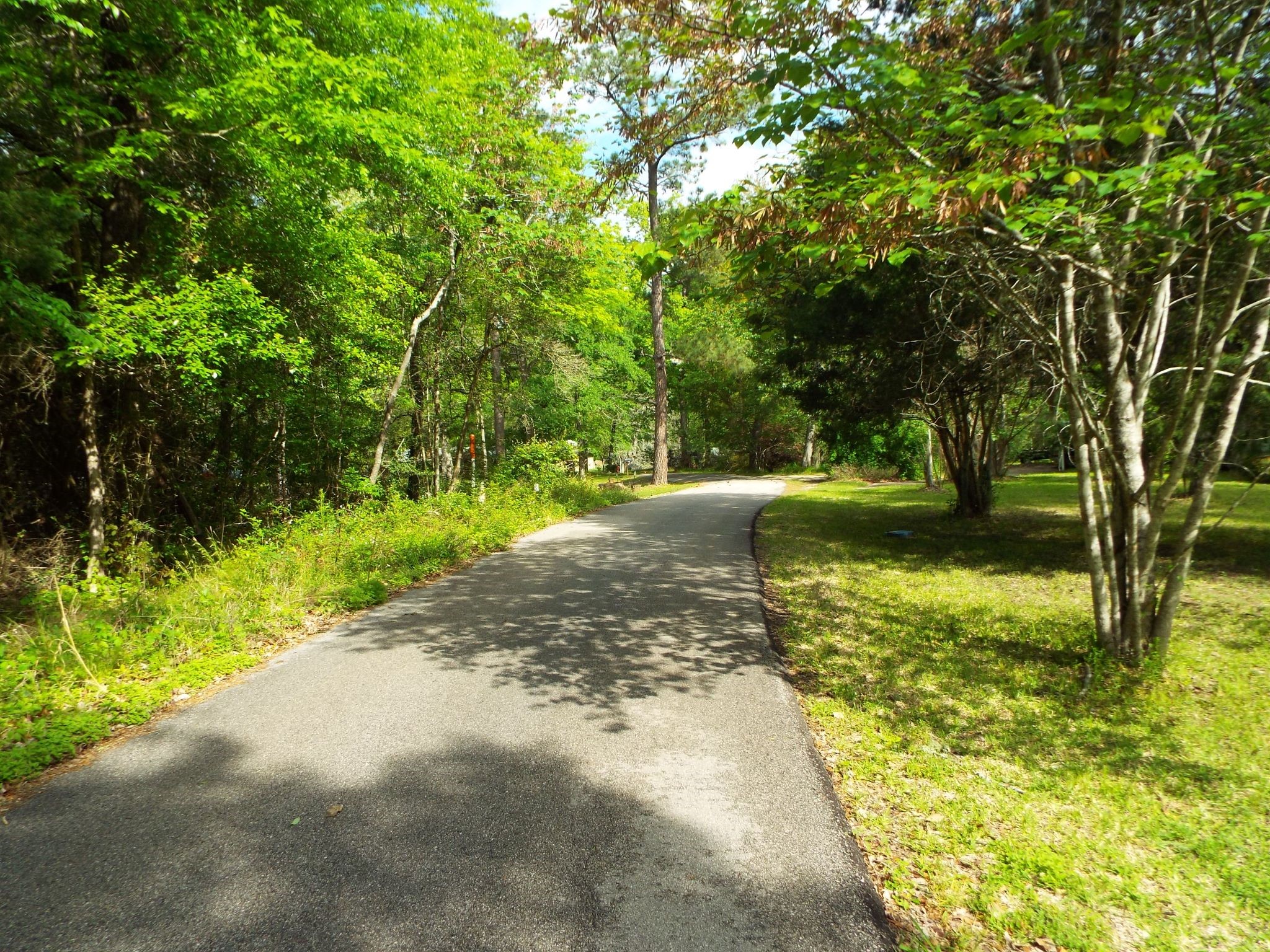 Lot 34 Dogwood Road Property Photo 16