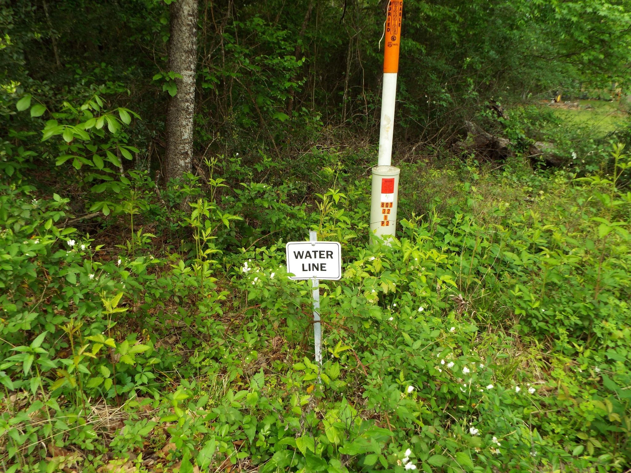 Lot 34 Dogwood Road Property Photo 19