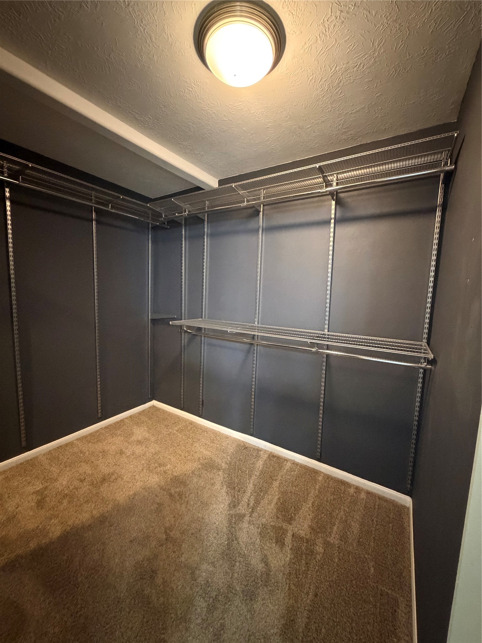 21331 Timber Pines Drive Property Photo 19
