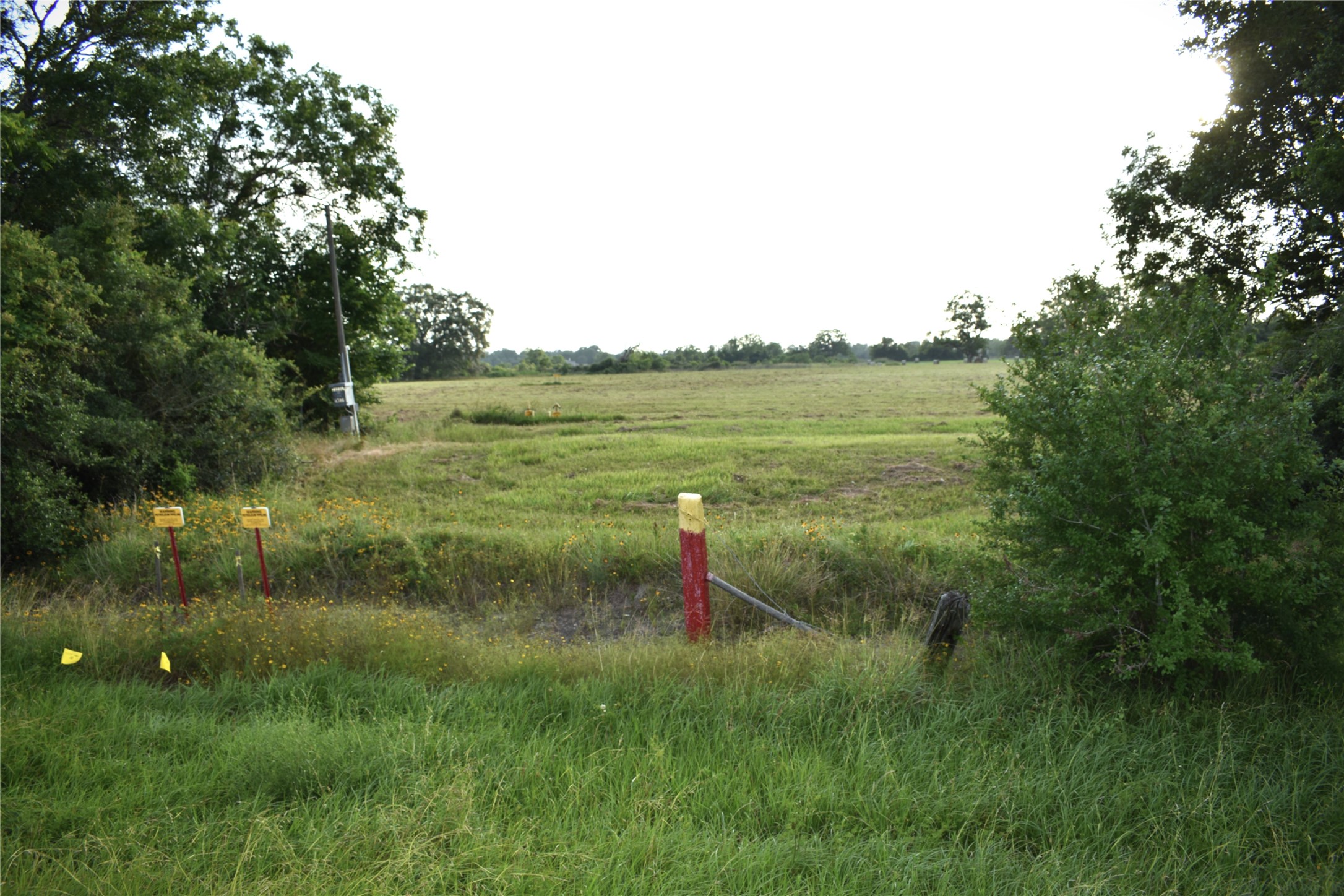 23210 Fm-521 Property Photo 14
