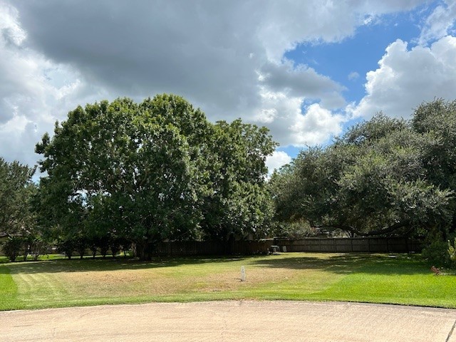 33307 Whiting Street Property Photo 1