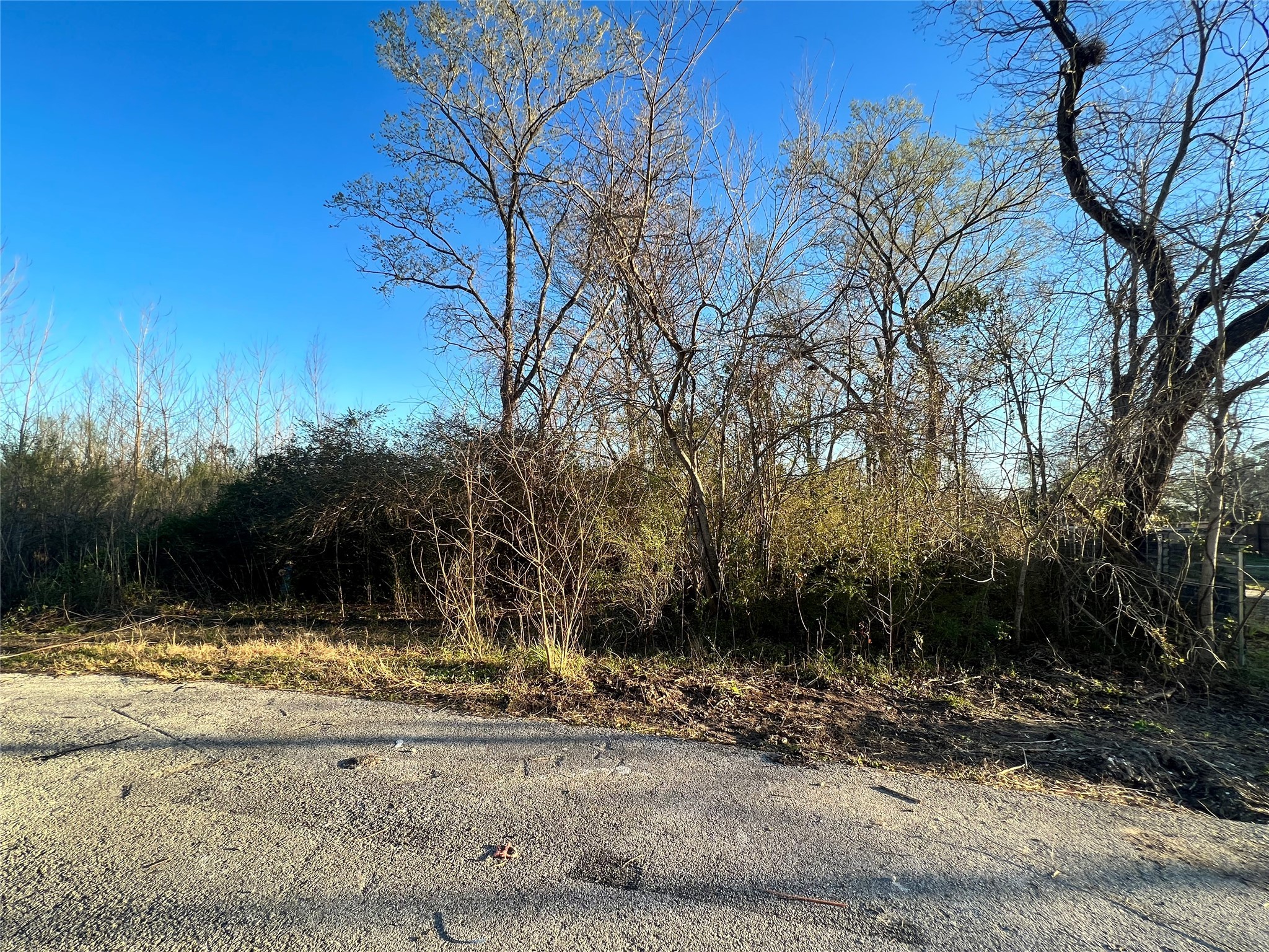 7942 Flintridge Drive Property Photo 10