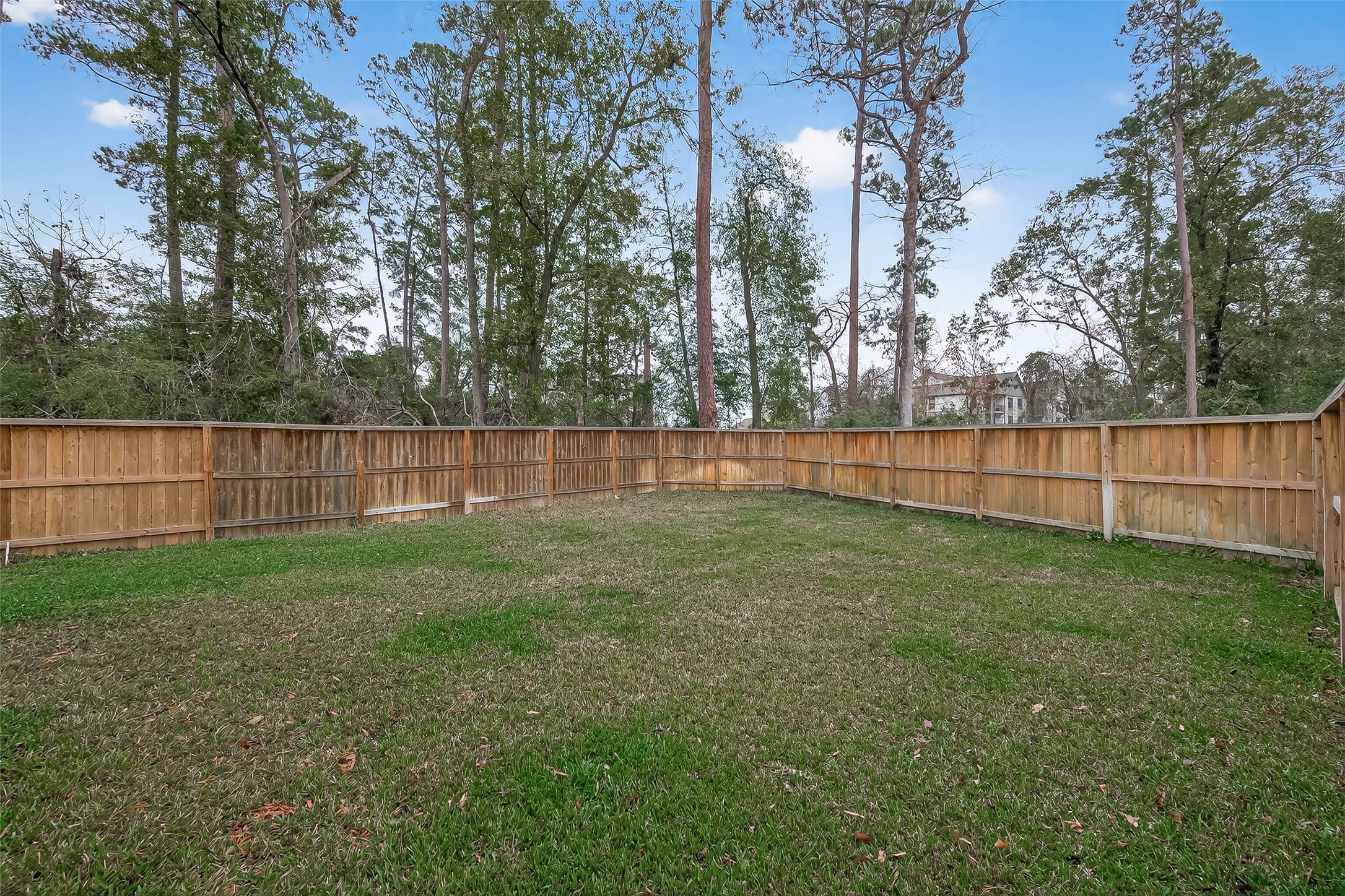 218 Skybranch Court Property Photo 48