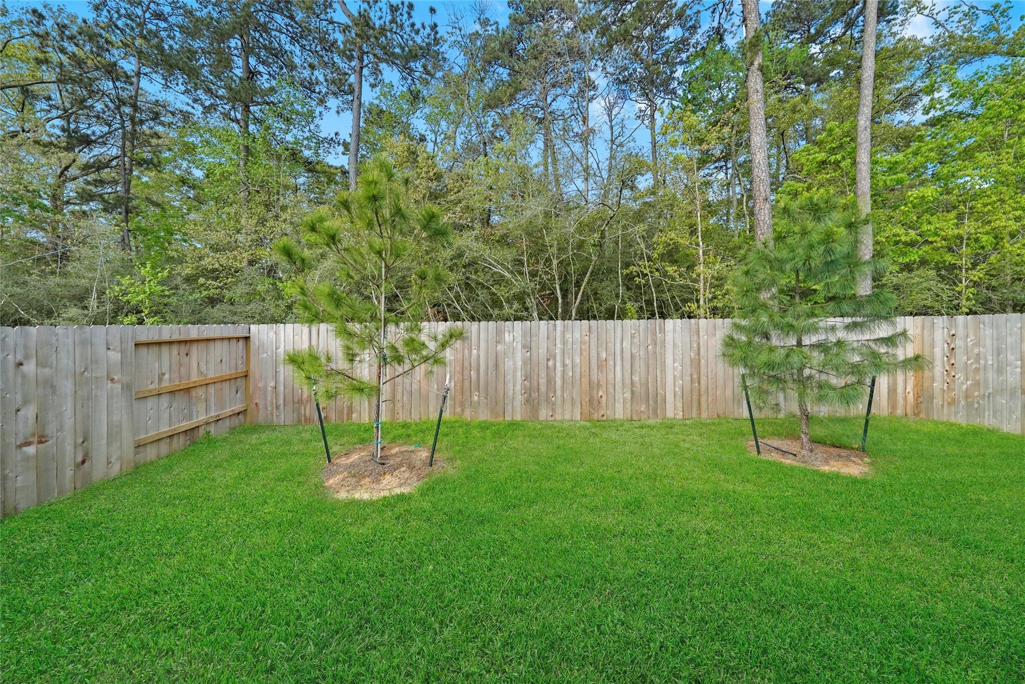 10429 Pineland Drive Property Photo 25