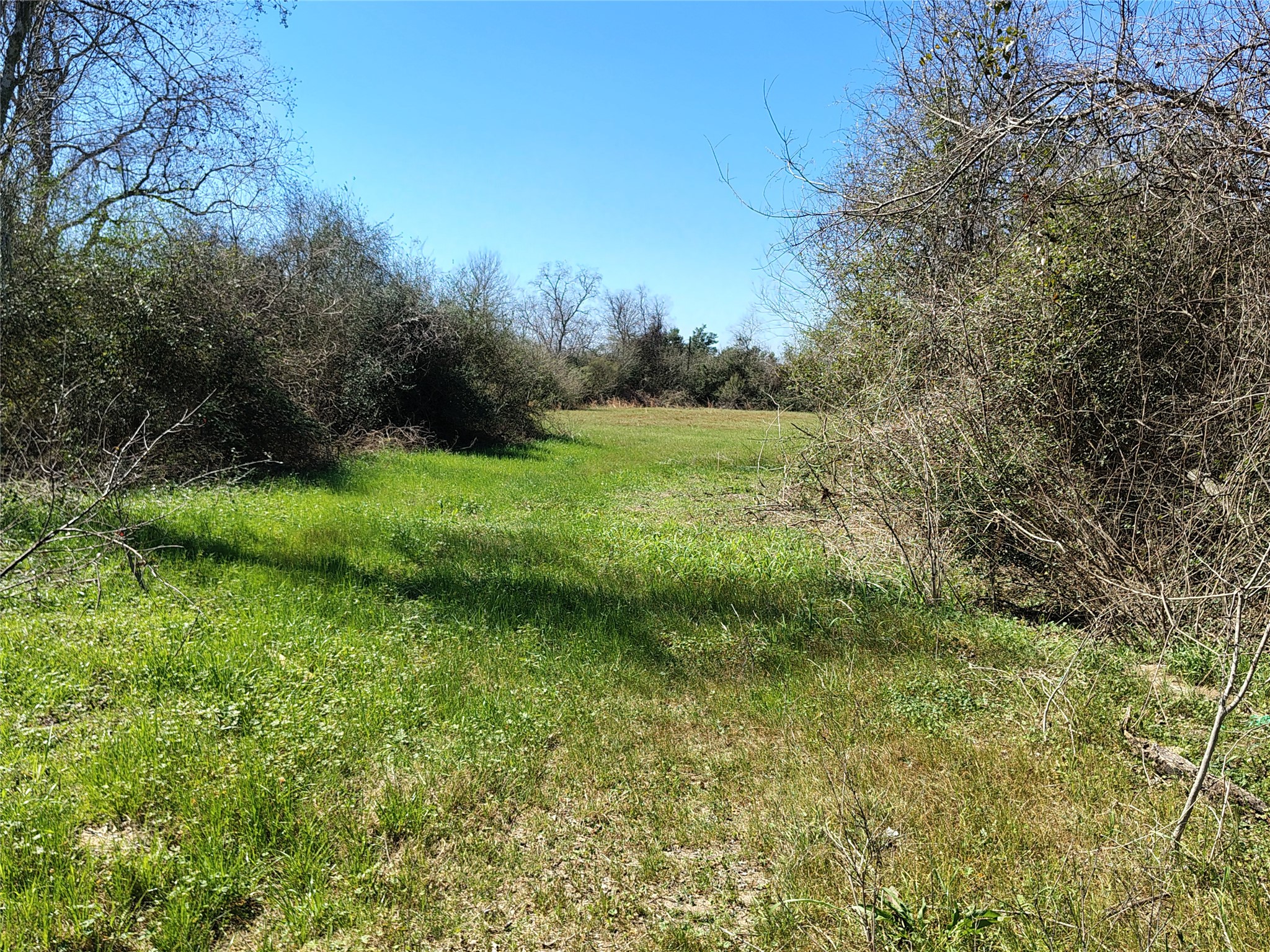 Tbd Brumlow Road Property Photo 2