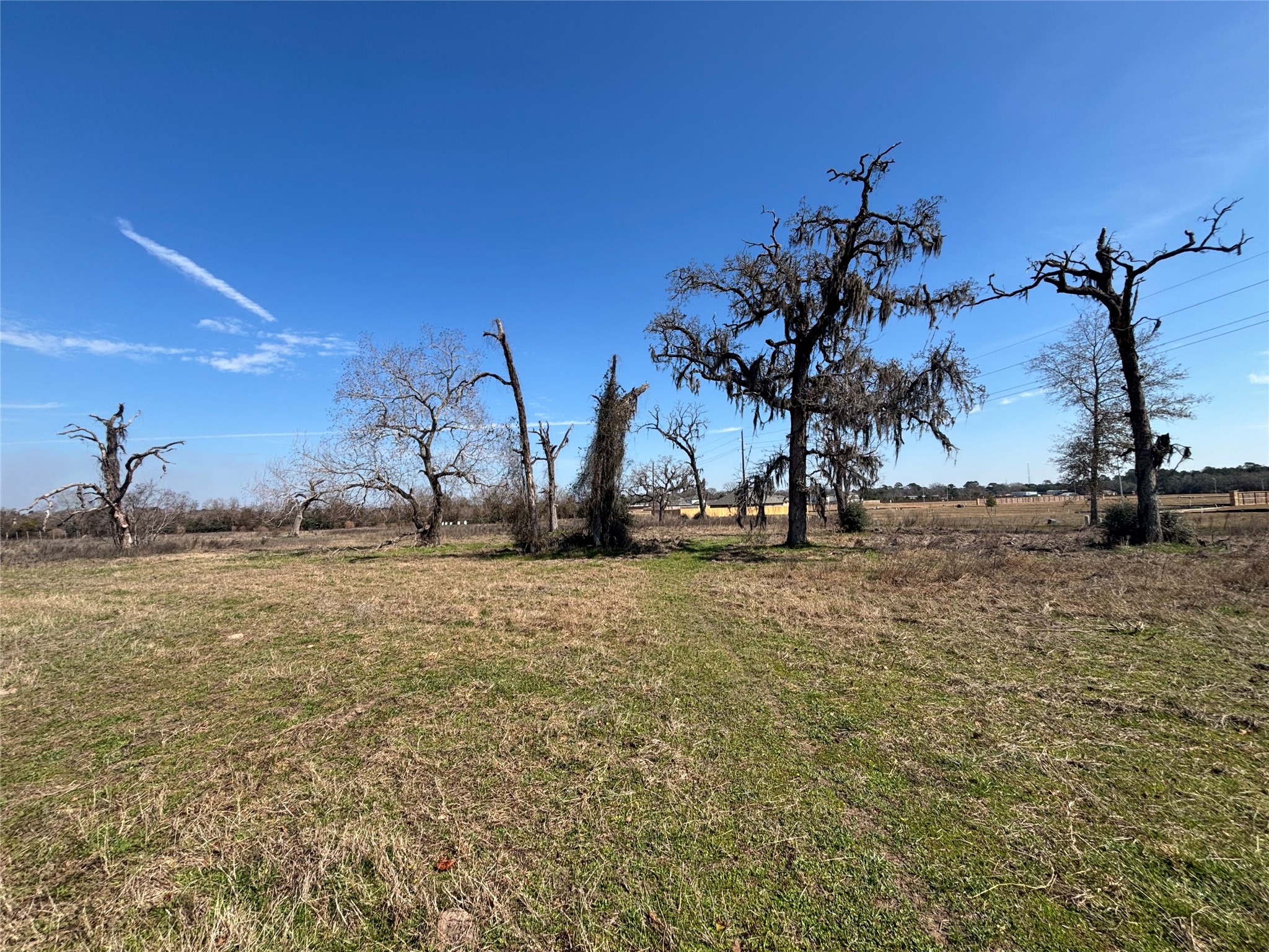 1706 Goodson Loop Property Photo 5