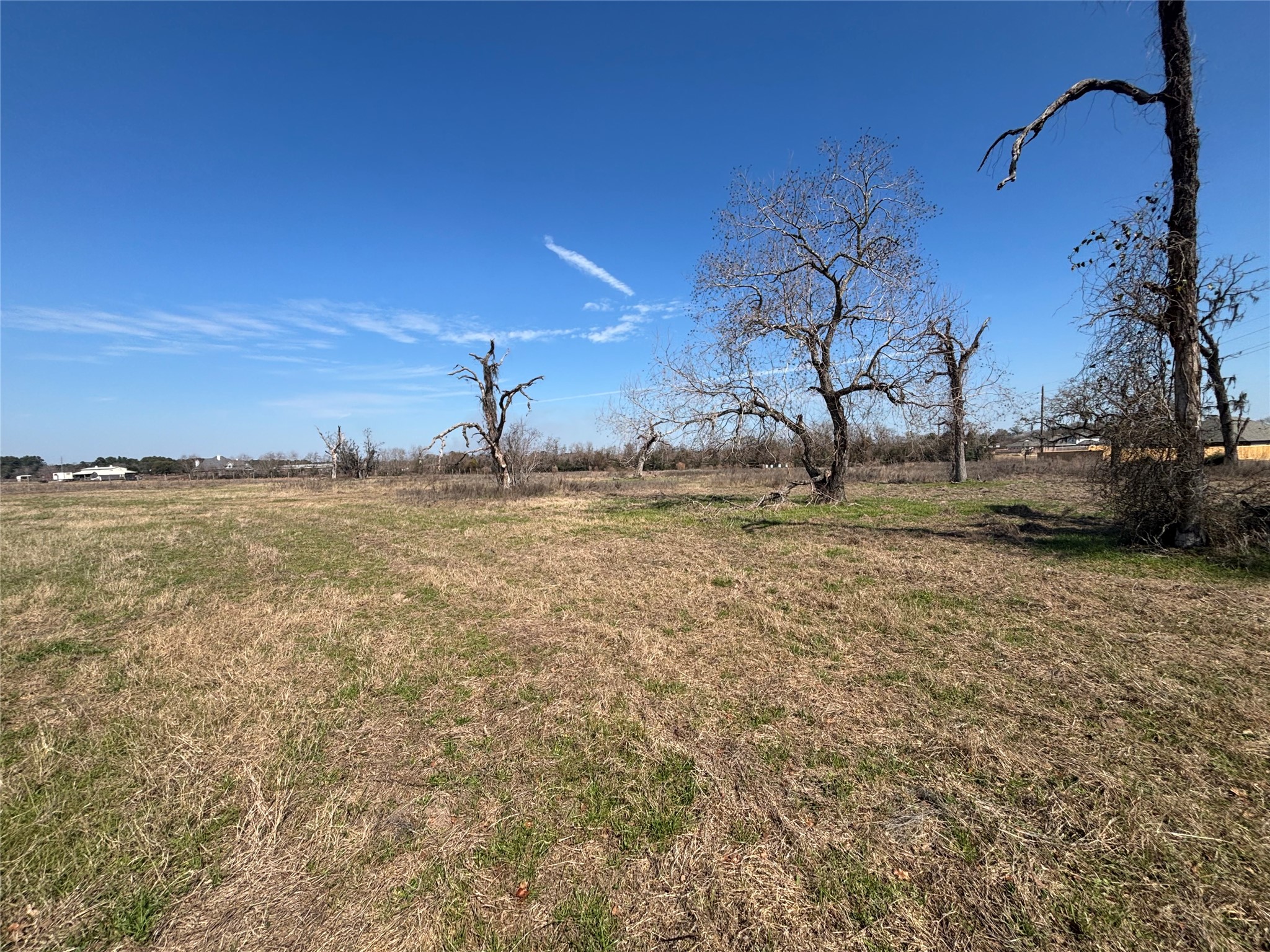 1706 Goodson Loop Property Photo 24