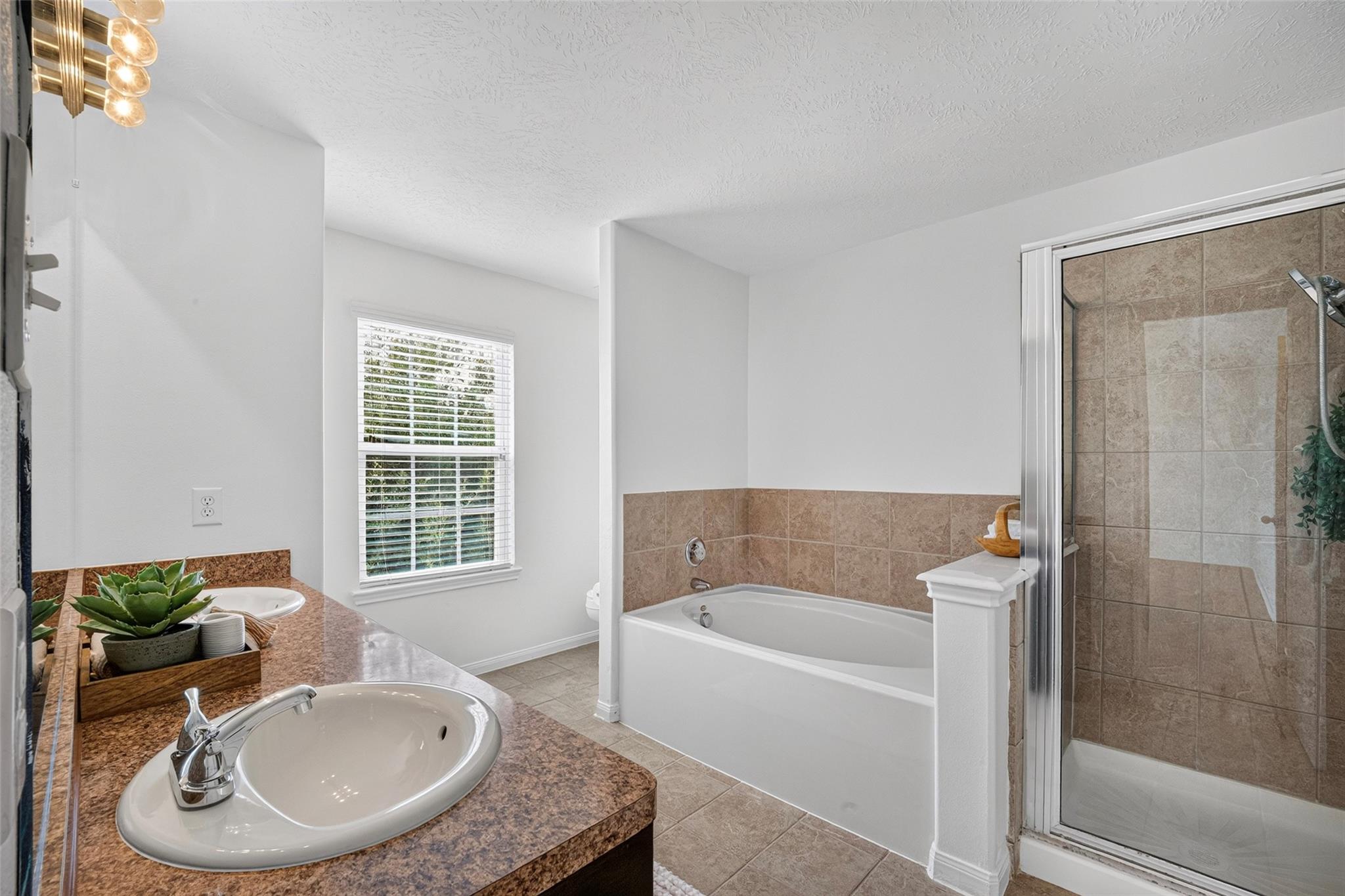 11803 Red Hummingbird Drive, Houston Tx 77047 Property Photo 7
